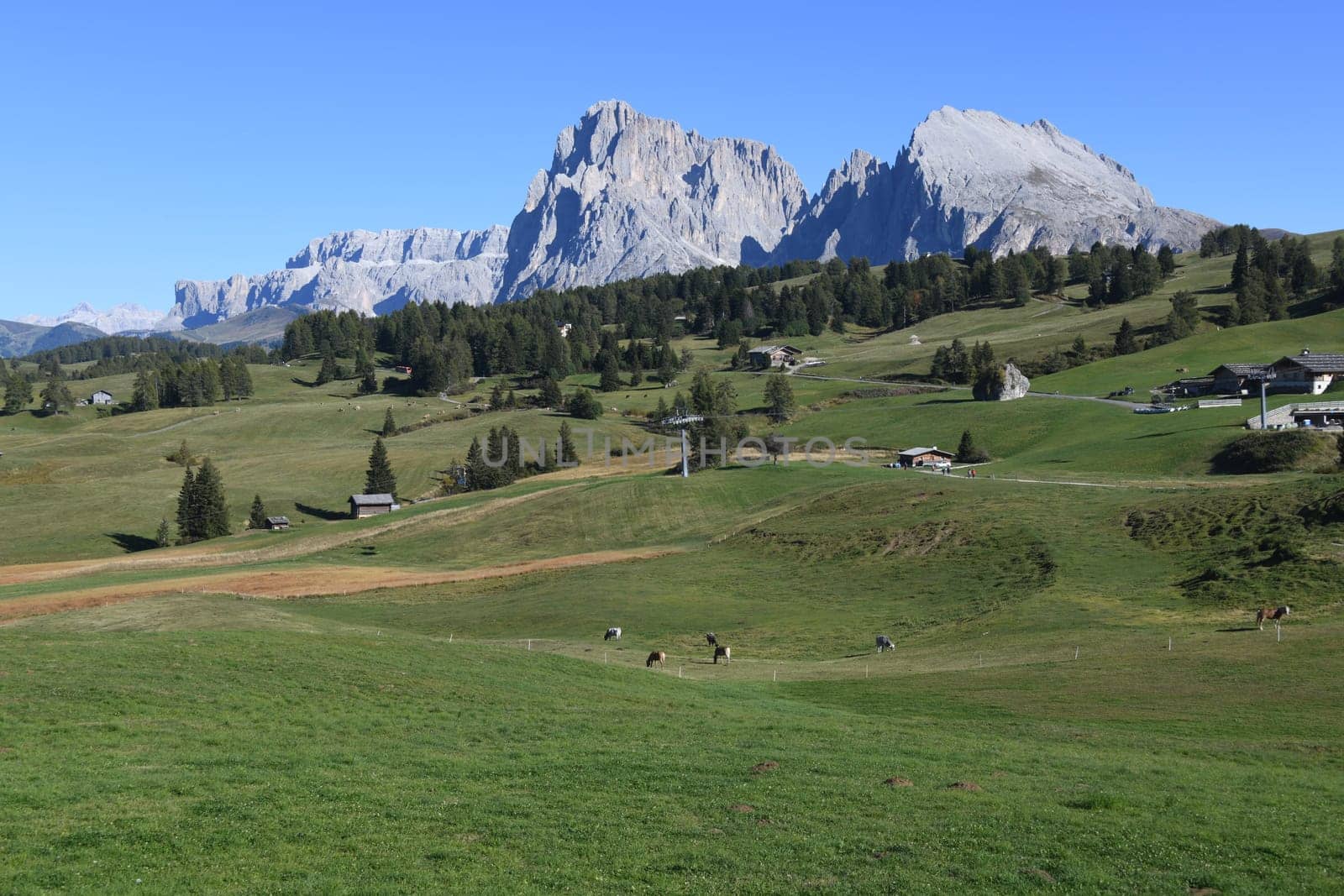 The Seiser Alm in the background the Dolomites with the mountains Plattkofel,Grohmannspitze,Fünffingerspitze,Langkofeleck,Langkofel,Piz Gralba,Piz Beguz,Sas dai Ciamorces South Tyrol,Alps in Italy.