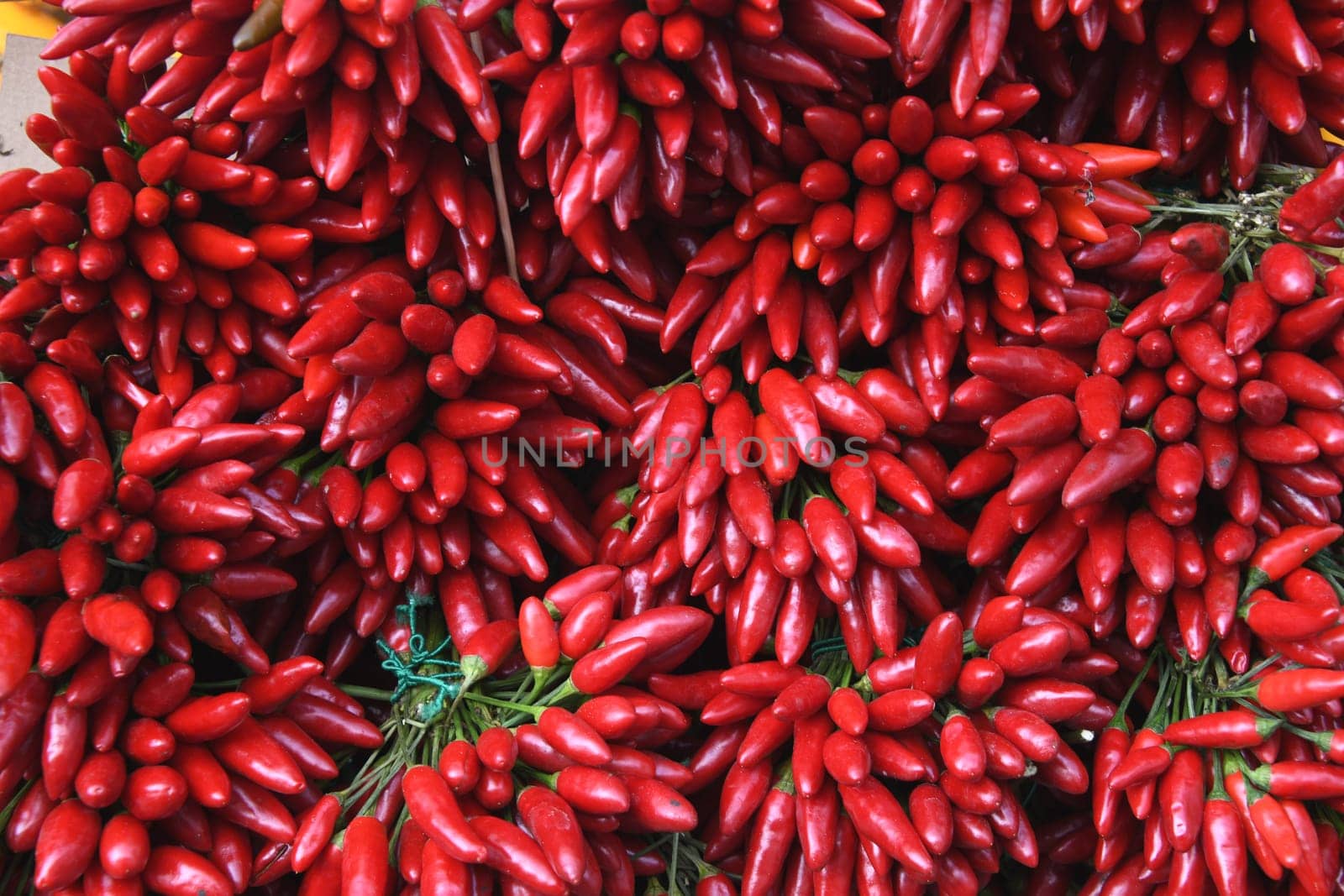 The red chilli belongs to the family of peppers. It is a nightshade plant. The fruits are used as a vegetable and a spice.