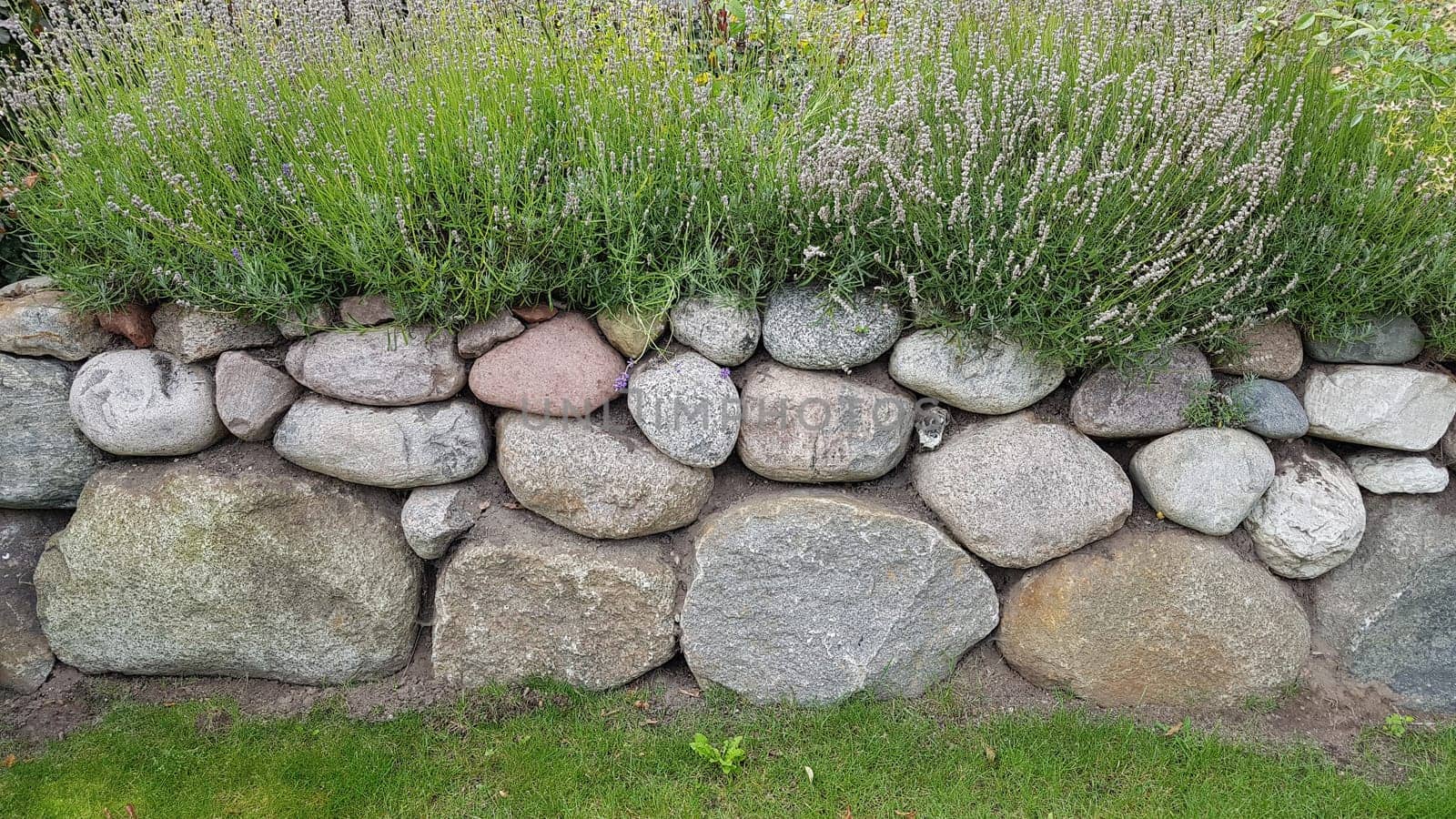 Friesenwall,Friezes wall,consists of stacked boulders from the Ice Age.