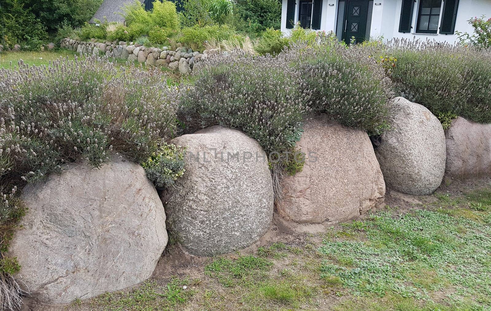 Friesenwall,Friezes wall,consists of stacked boulders from the Ice Age.