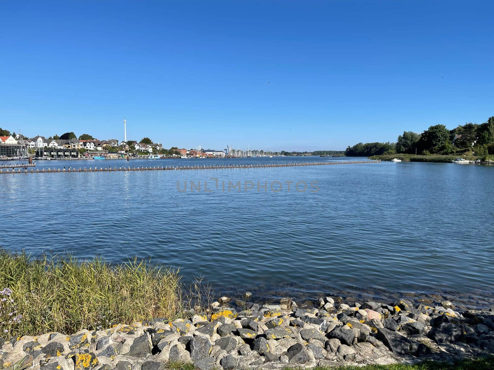 Herring fence in the town of Kappeln is a unique document of fishing in the Schlei. It is the last fully functional herring fence in Europe.