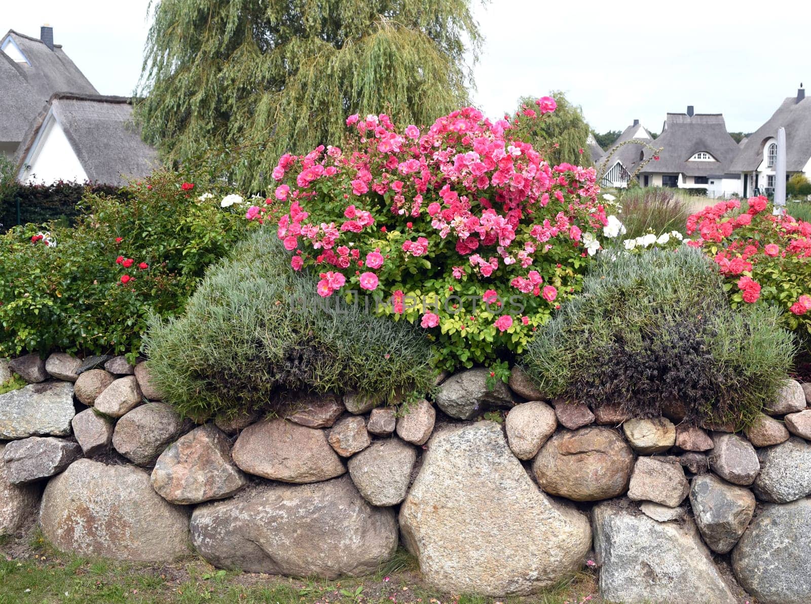 Friesenwall,Friezes wall,consists of stacked boulders from the Ice Age.
