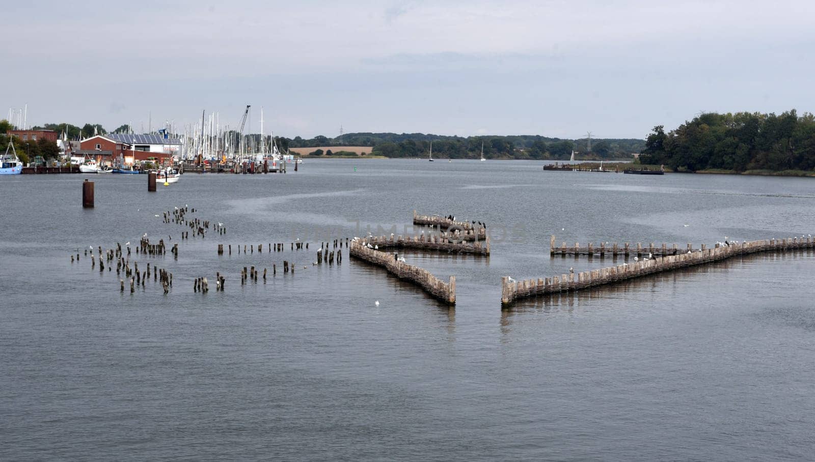 Herring fence in the town of Kappeln is a unique document of fishing in the Schlei. It is the last fully functional herring fence in Europe.