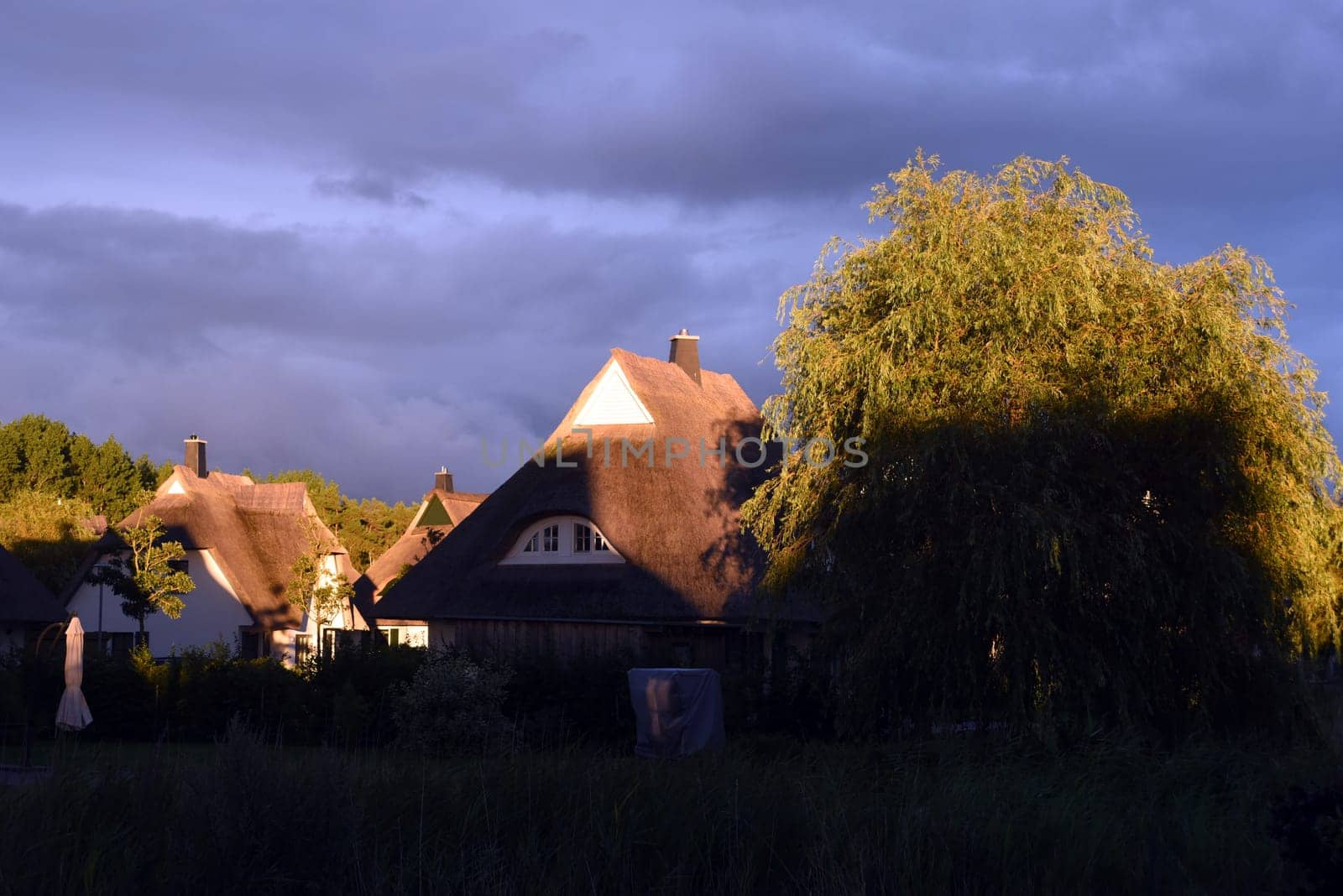Friesenhaueser with thatched roof made of reeds.