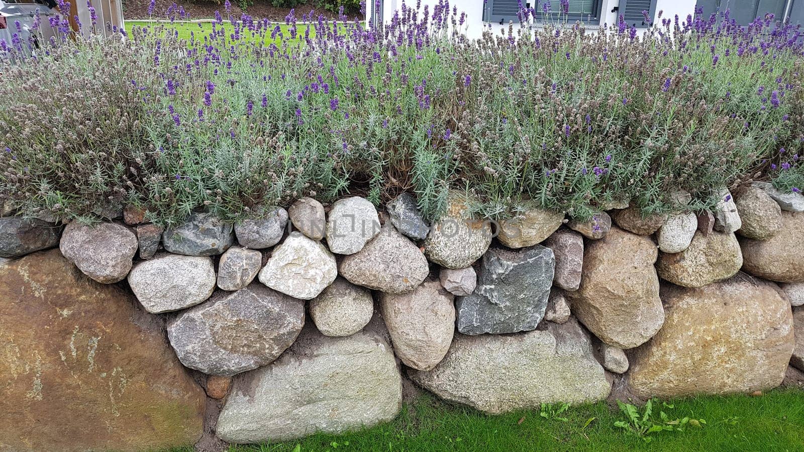 Friesenwall,Friezes wall,consists of stacked boulders from the Ice Age.