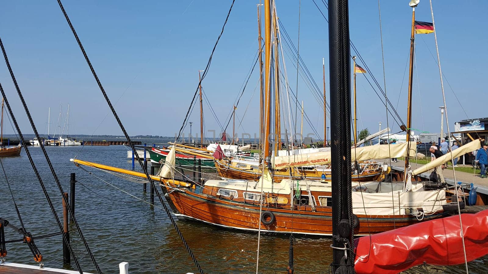 Zeesboat,regatta in the lagoon landscape in Mecklenburg-Western Pomerania.