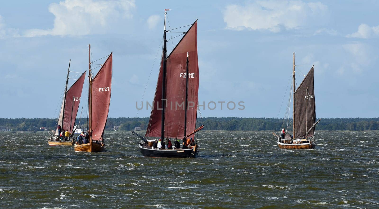 Zeesboat,regatta in the lagoon landscape in Mecklenburg-Western Pomerania.