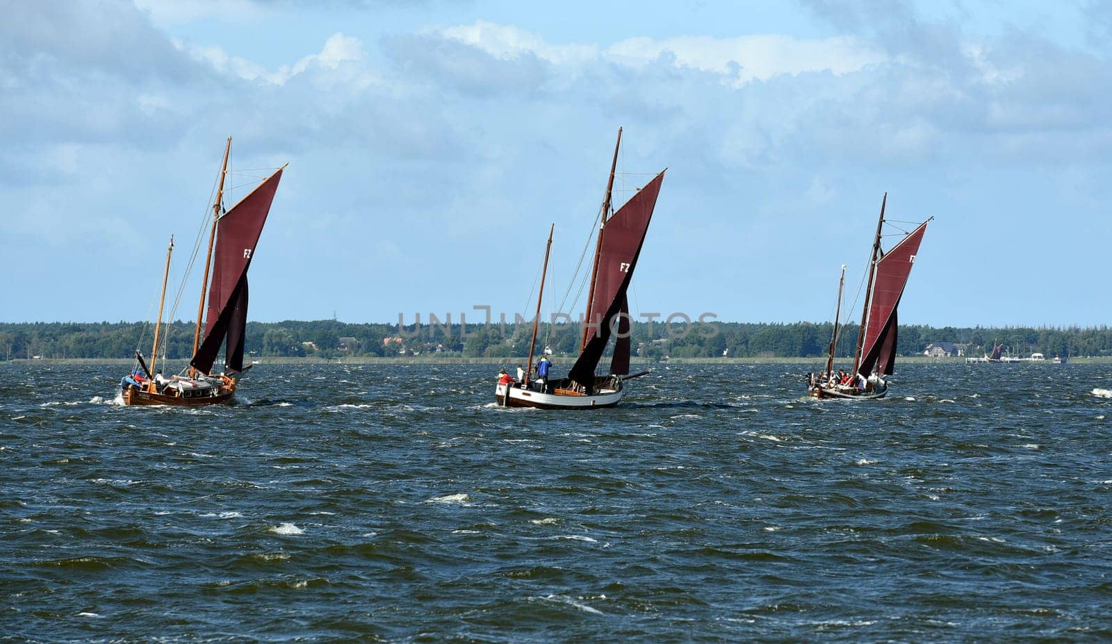 Zeesboat,regatta in the lagoon landscape in Mecklenburg-Western Pomerania.