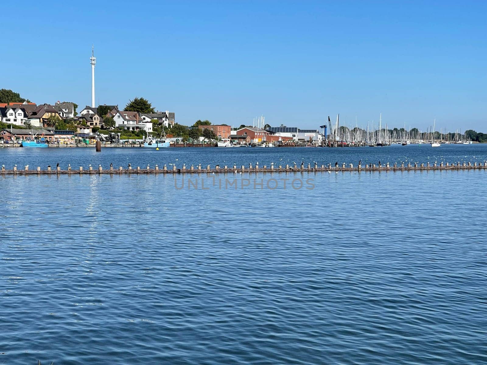Herring fence in the town of Kappeln is a unique document of fishing in the Schlei. It is the last fully functional herring fence in Europe.