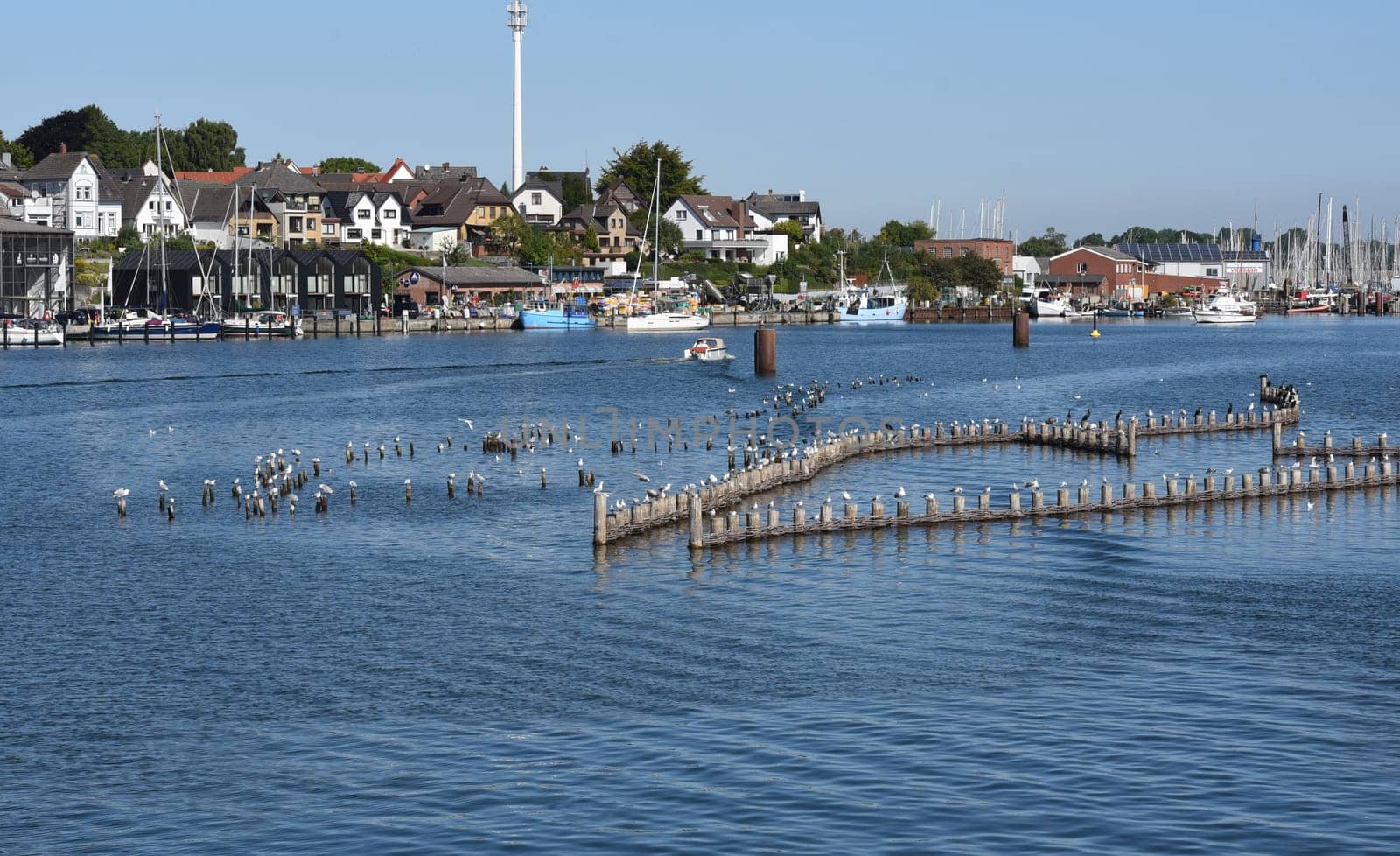 Herring fence in the town of Kappeln is a unique document of fishing in the Schlei. It is the last fully functional herring fence in Europe.
