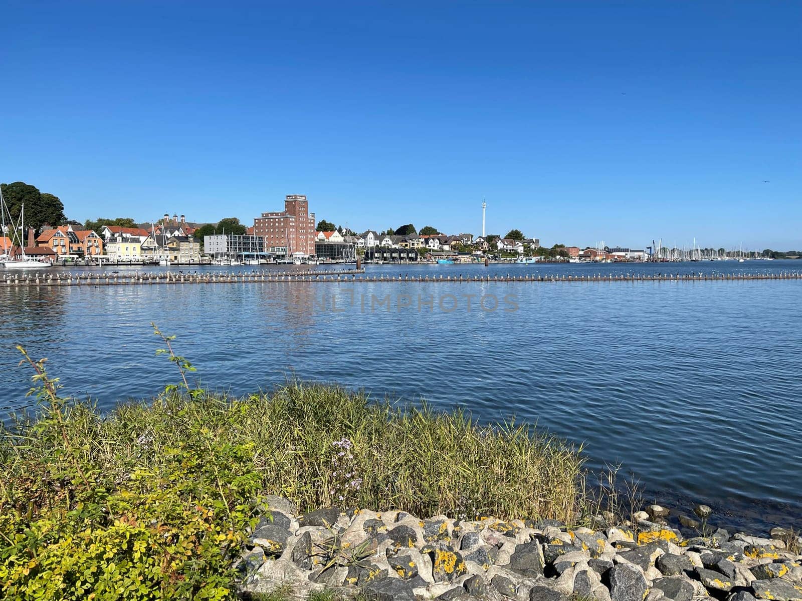 Herring fence in the town of Kappeln is a unique document of fishing in the Schlei. It is the last fully functional herring fence in Europe.