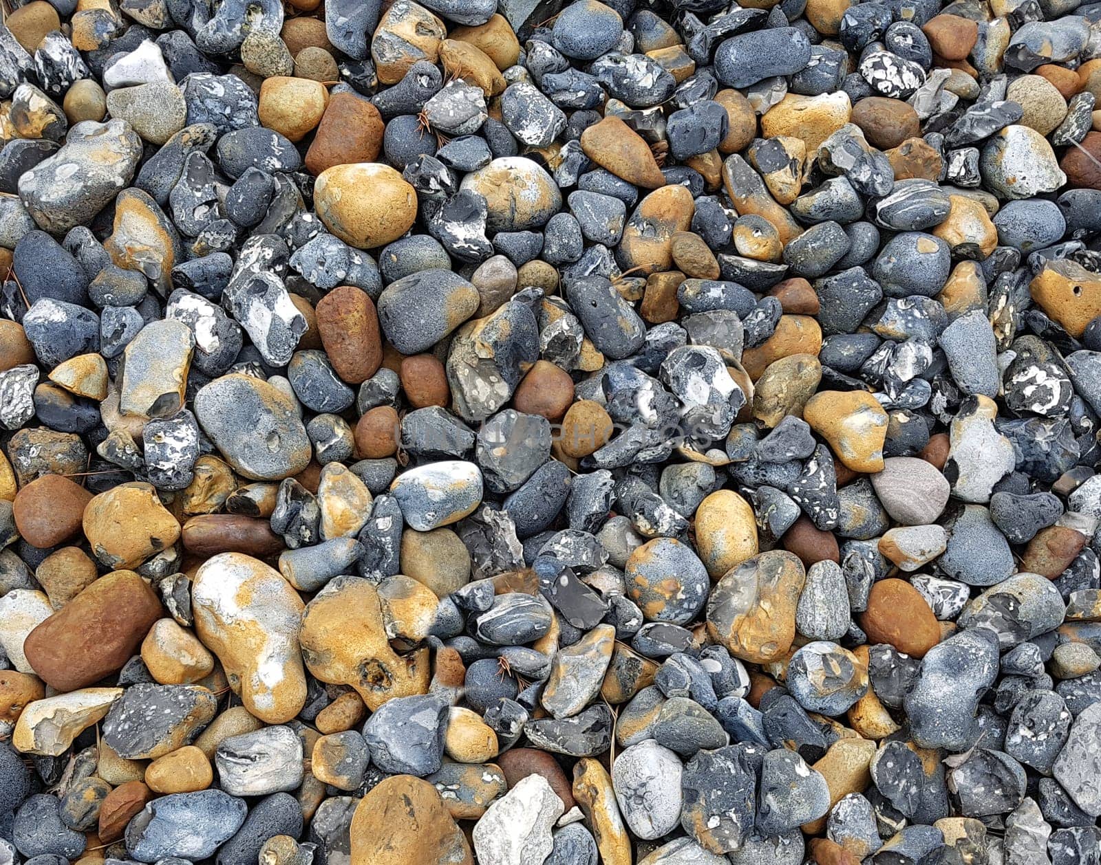Pebbles on the Baltic coast are beautiful to look at.
