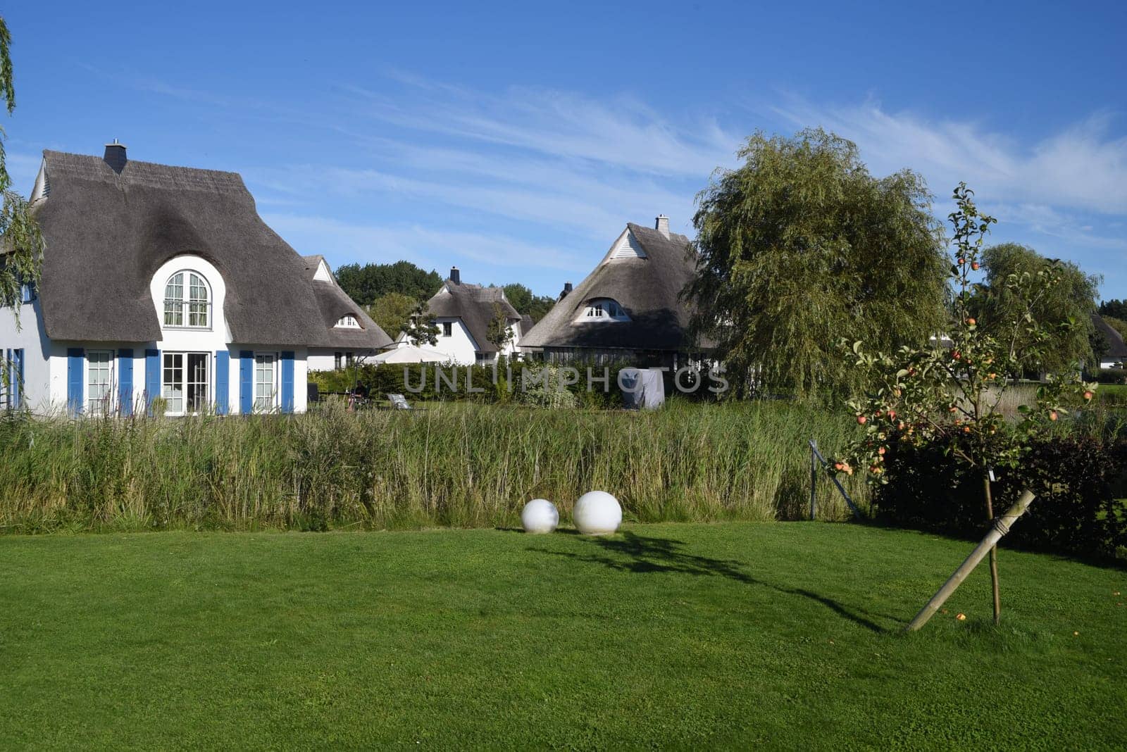 Friesenhaueser with thatched roof made of reeds.