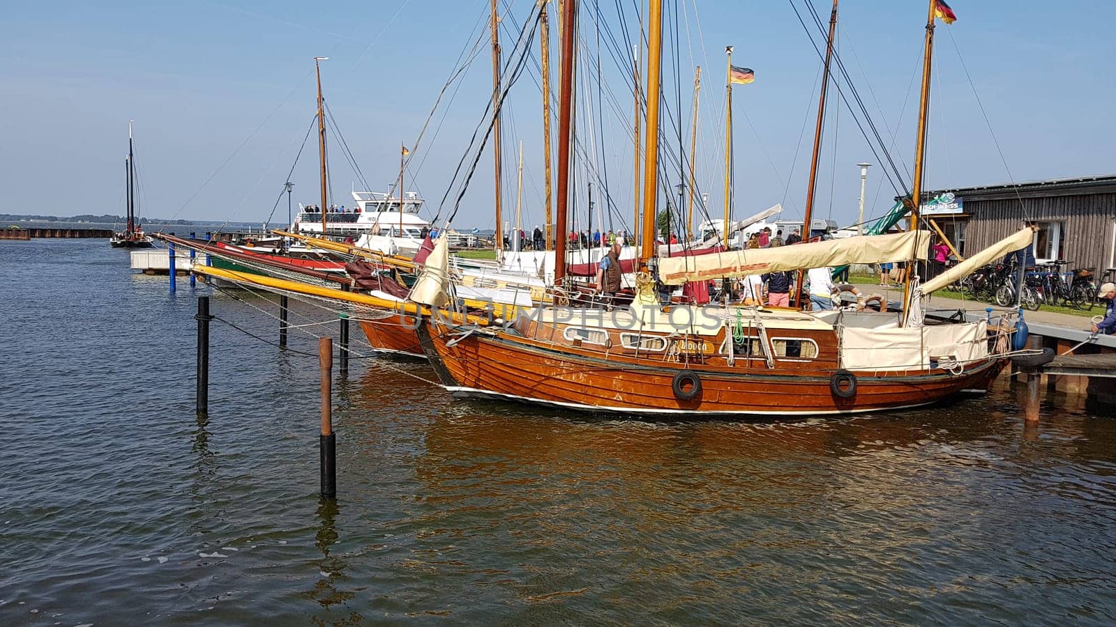 Zeesboat,regatta in the lagoon landscape in Mecklenburg-Western Pomerania.