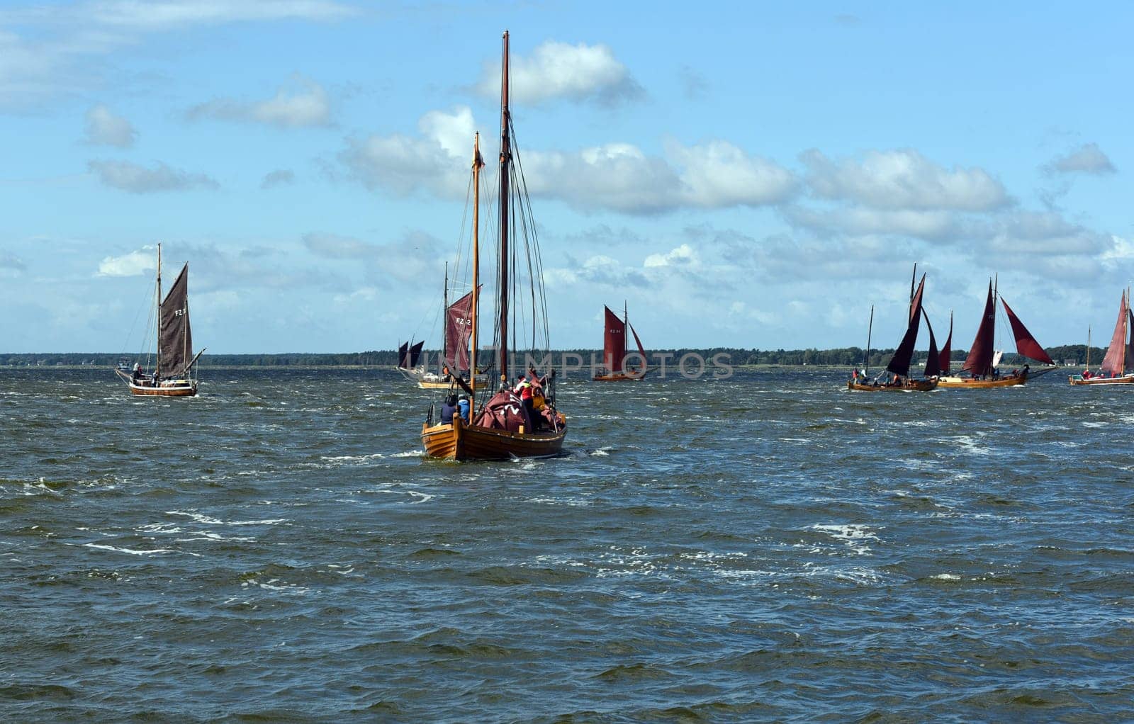 Zeesboat,regatta in the lagoon landscape in Mecklenburg-Western Pomerania.