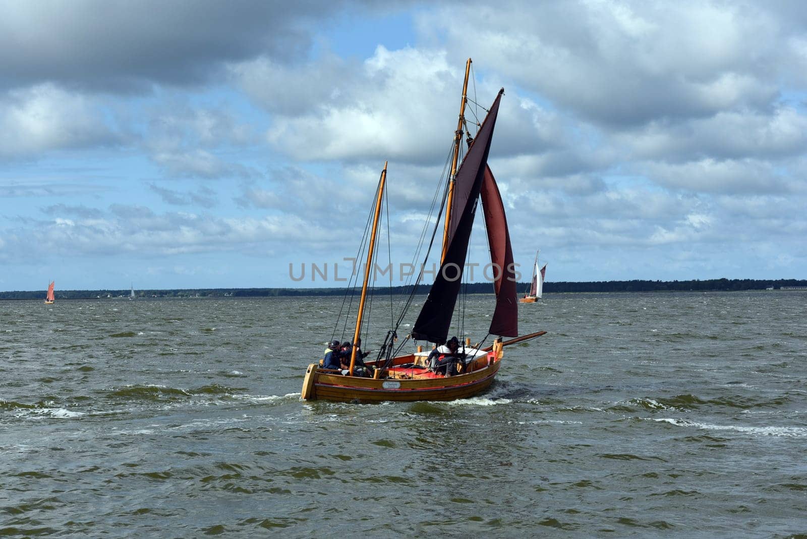 Zeesboat,regatta in the lagoon landscape in Mecklenburg-Western Pomerania.