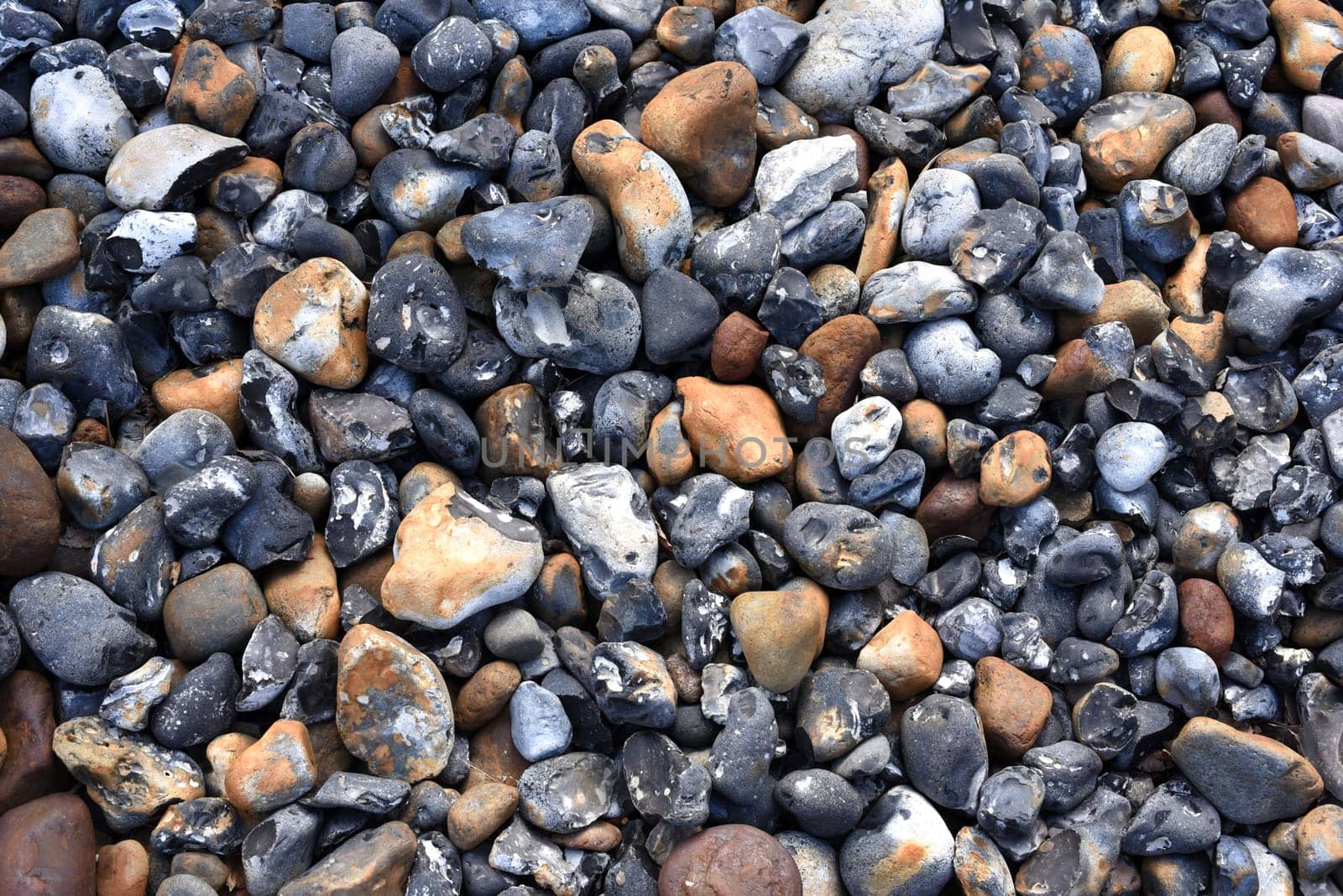 Pebbles on the Baltic coast are beautiful to look at.