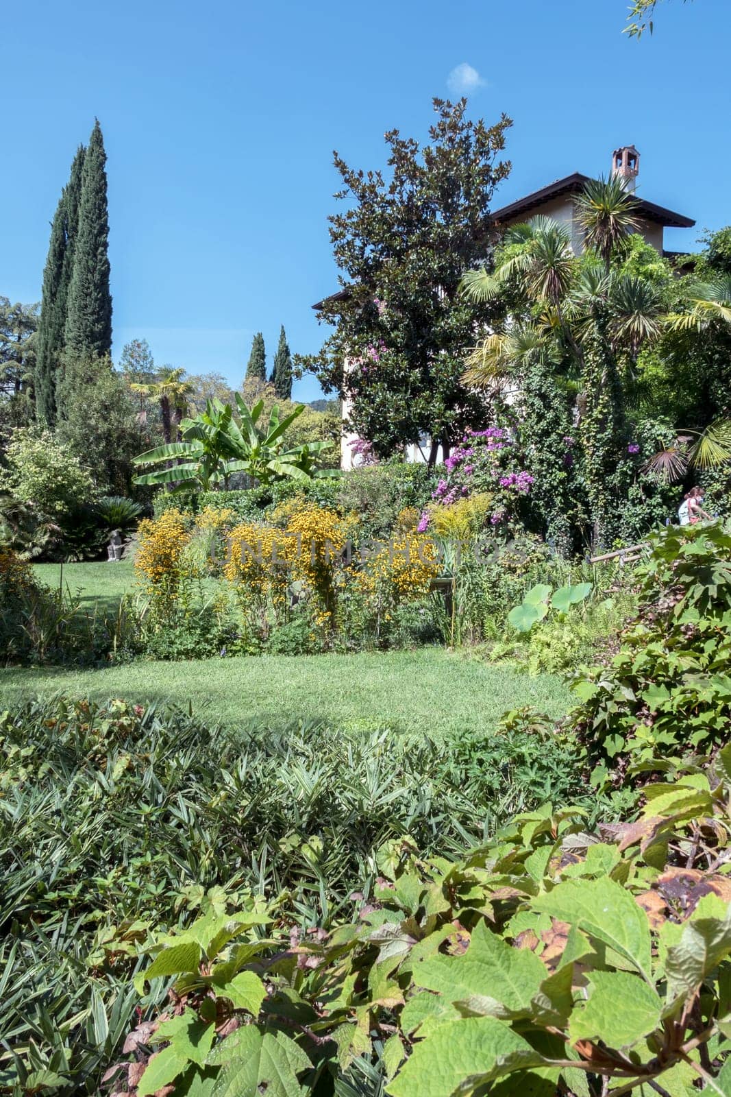 André Heller Botanical Garden. Gardone Riviera (BS), ITALY - August 25, 2020