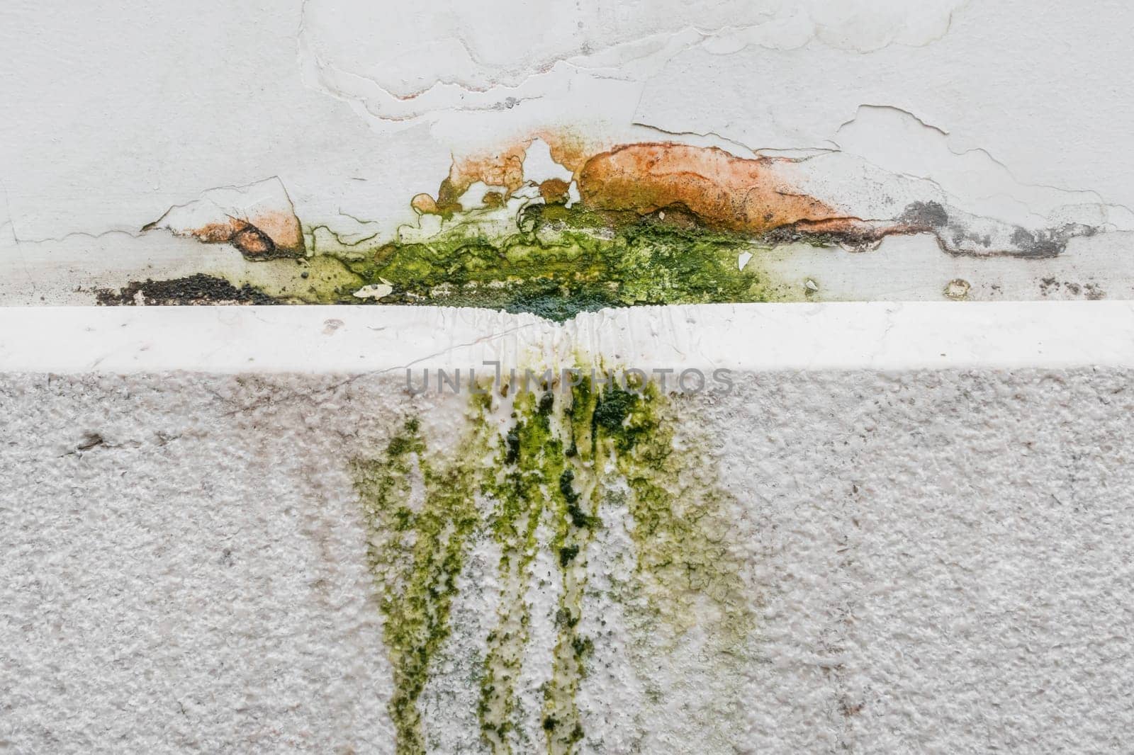 Moss and Mold spots on the ceiling on wall due to poor air ventilation and high humidity. Harm to health.