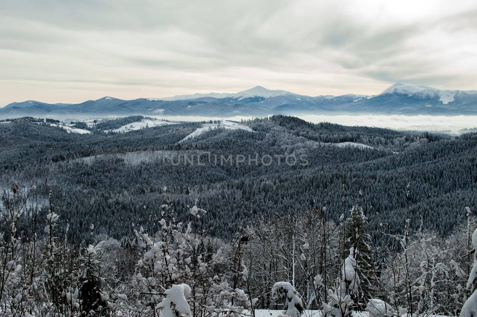 beautiful panorama of mountain forests, the theme of mountain sports, skiing, Bukovel, Carpathians, Ukraine