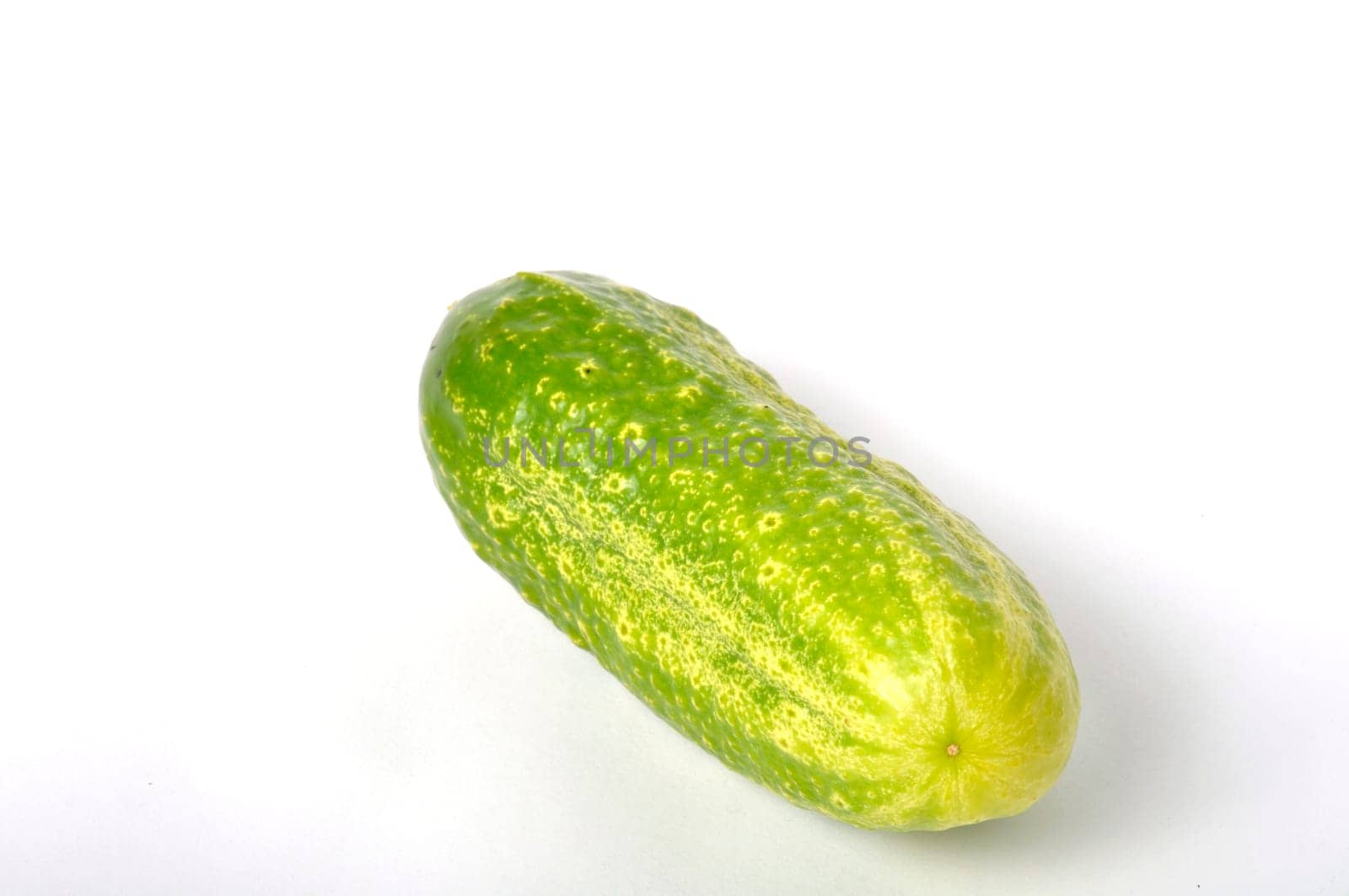 Small cucumber on a white background