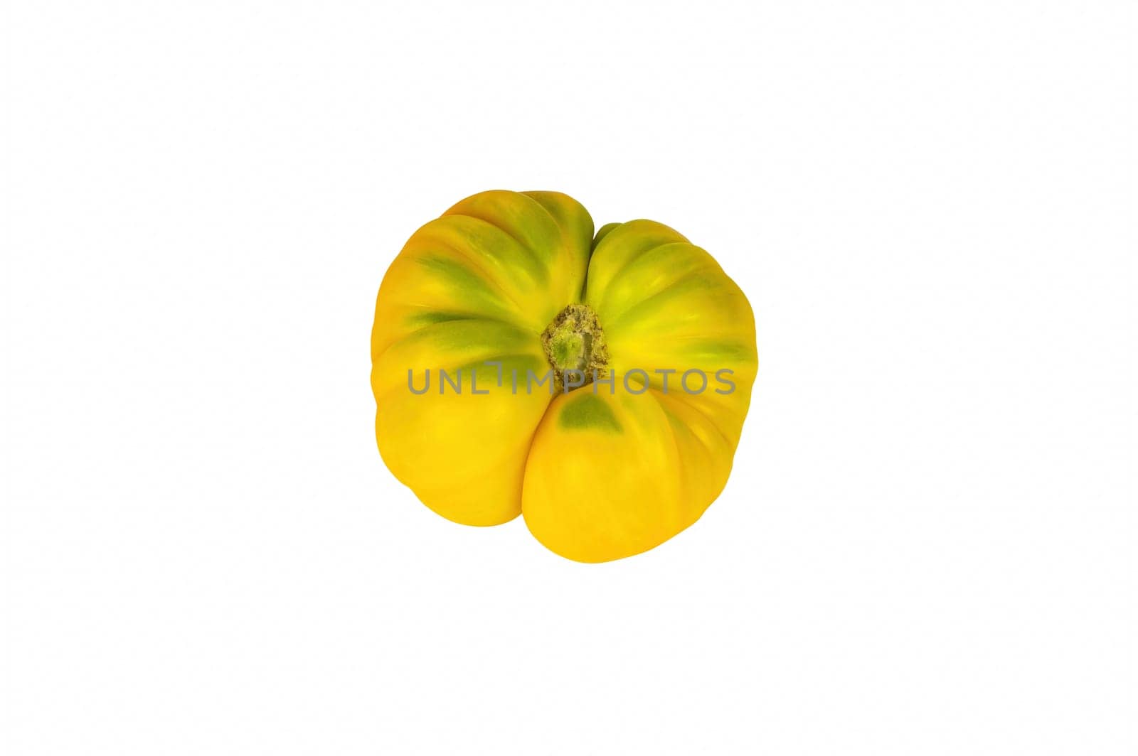 Yellow tomato vegetable isolated on white background. Yellow tomato. Vegetable harvest. Agricultural products. Farming business. Showcase of a grocery store. Background image.