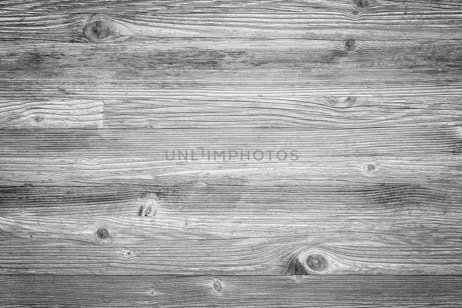 Vintage wood background. Black and white wood texture.