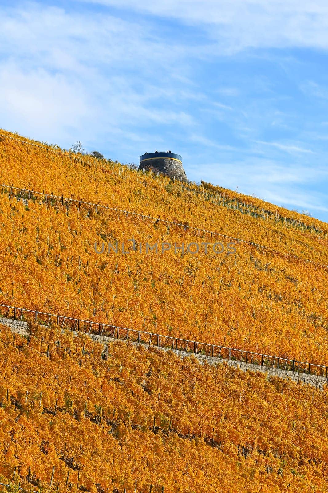 The potato tower is a sight of the city of Würzburg