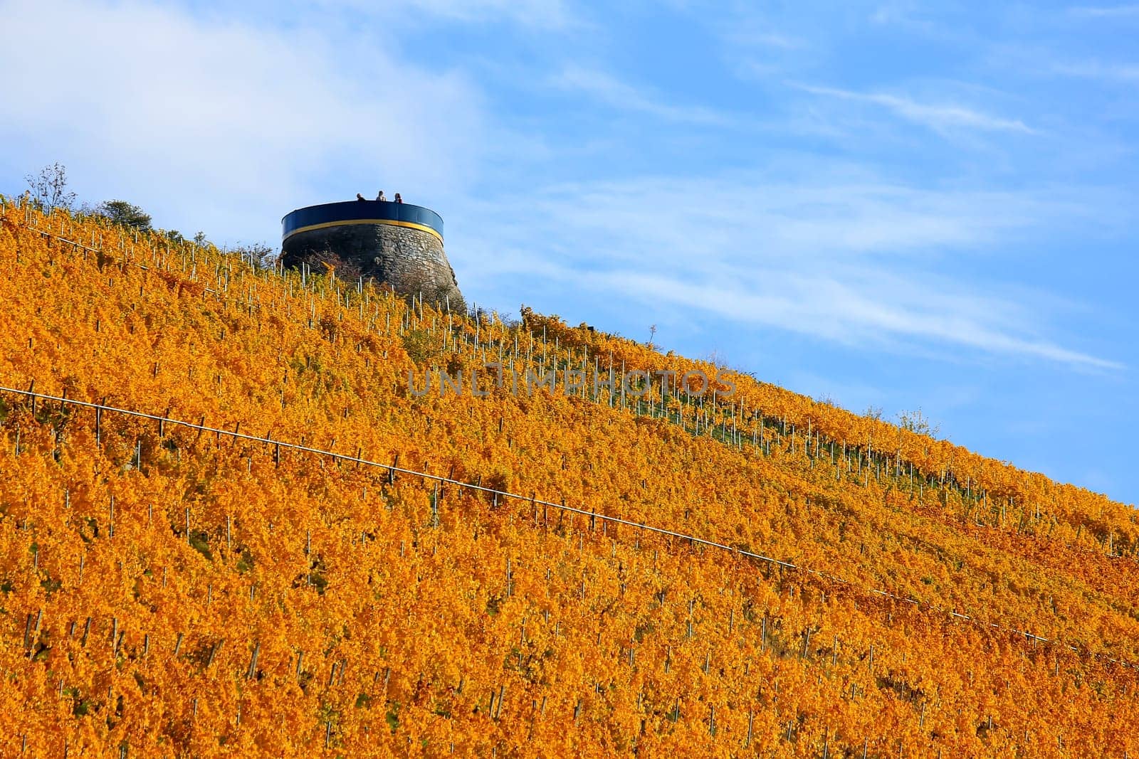 The potato tower is a sight of the city of Würzburg