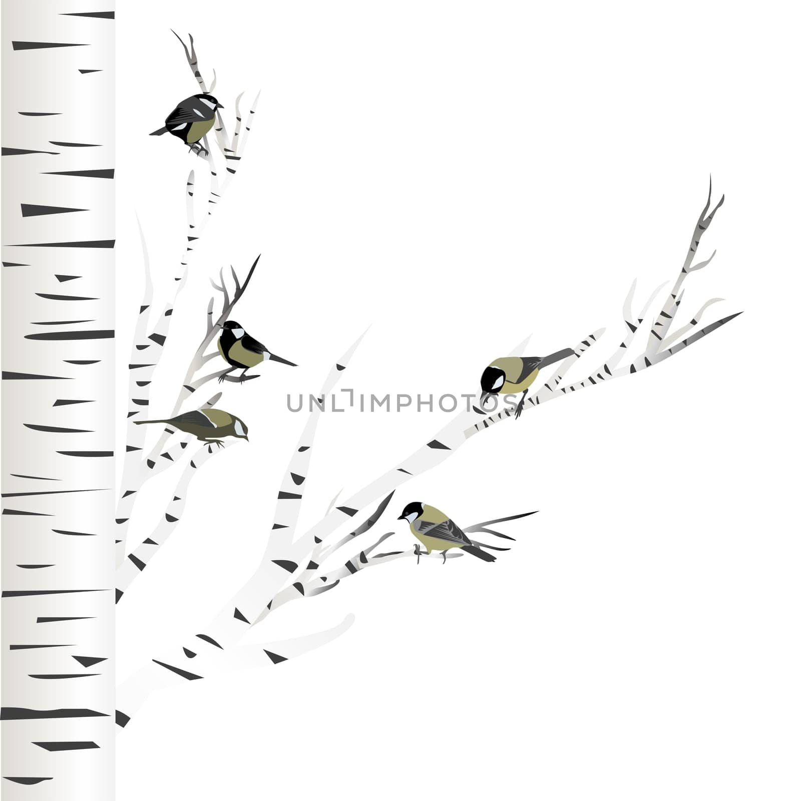 Hand drawn Great Tit birds sitting on a birch tree