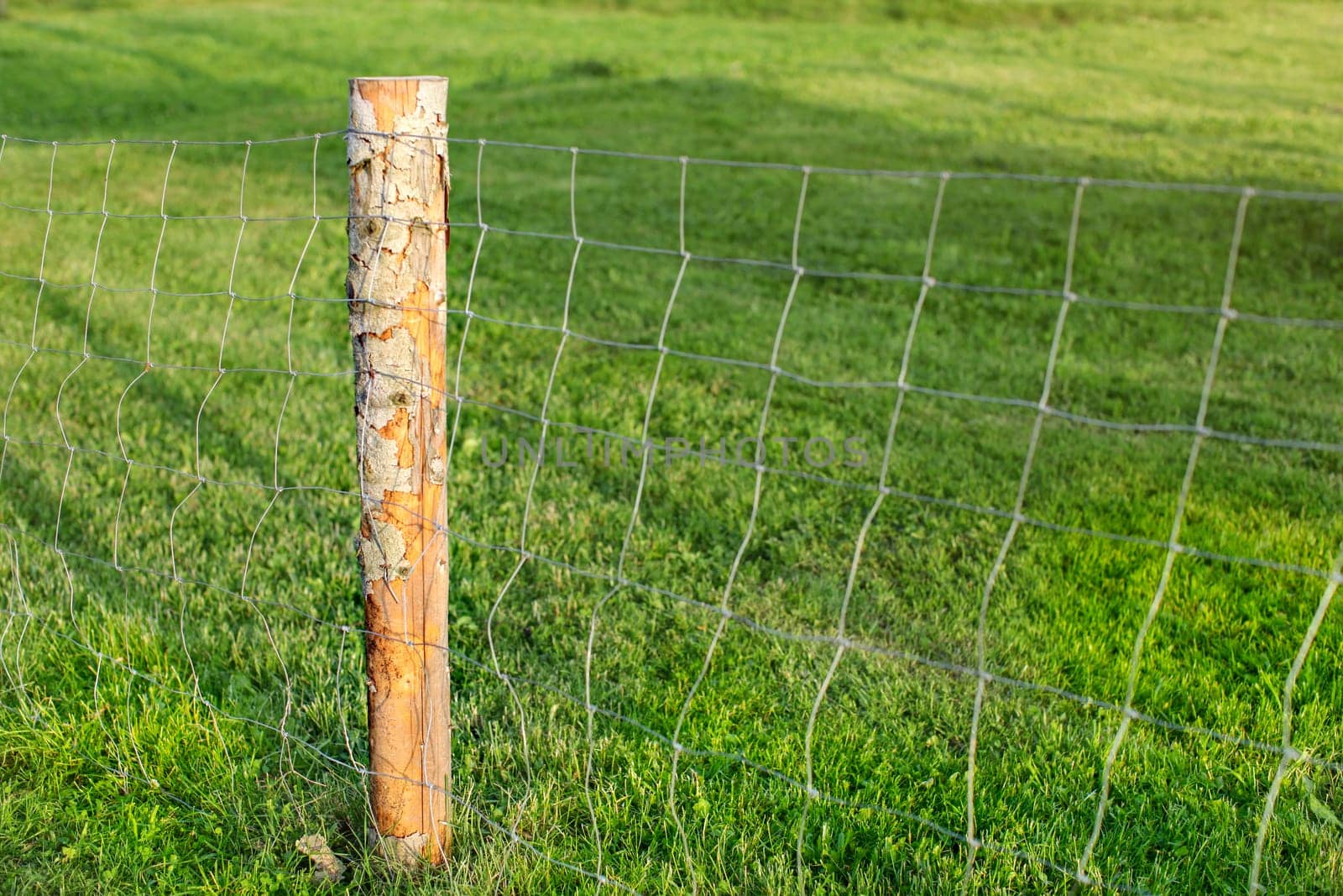 Wooden pole and wire fence, with green meadow in background. Farm railing.