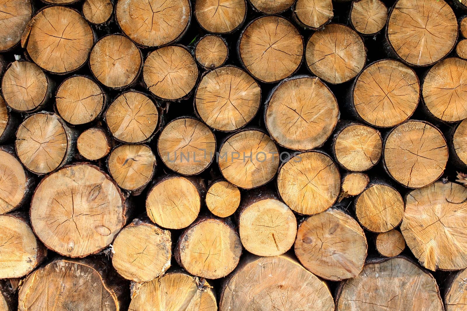Side view on logs of fire wood stacked.