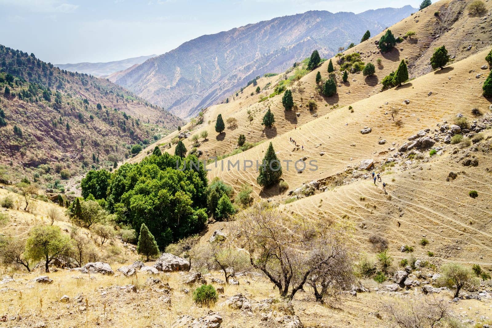 A group of tourists on a trail in Shirkent National Park in Tajikistan