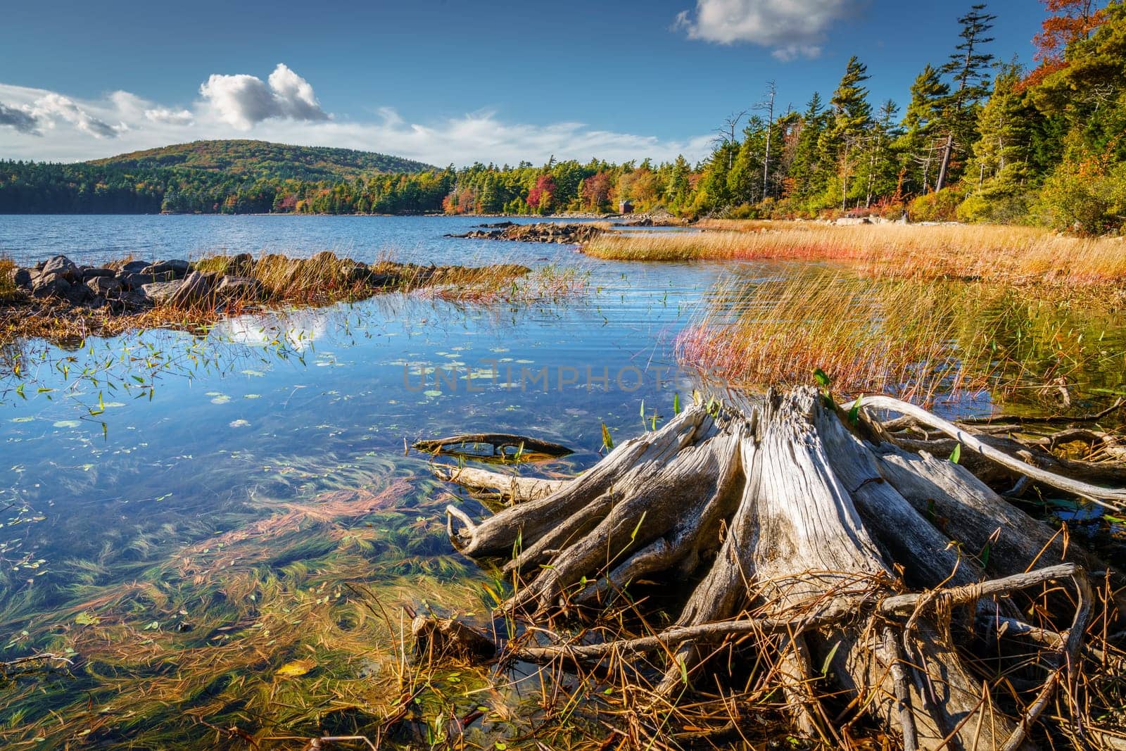 Scenic view of Eagle Lake in Acadia National Park in fall