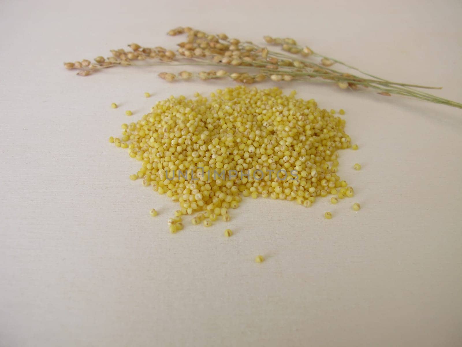 Small-seeded millet on wooden board