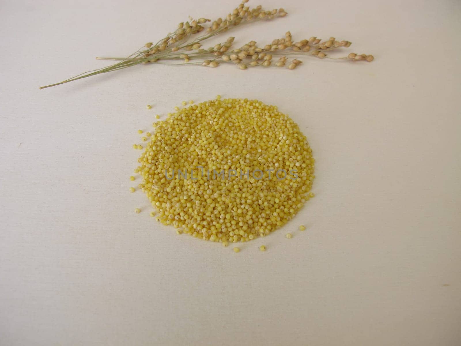 Small-seeded millet on wooden board