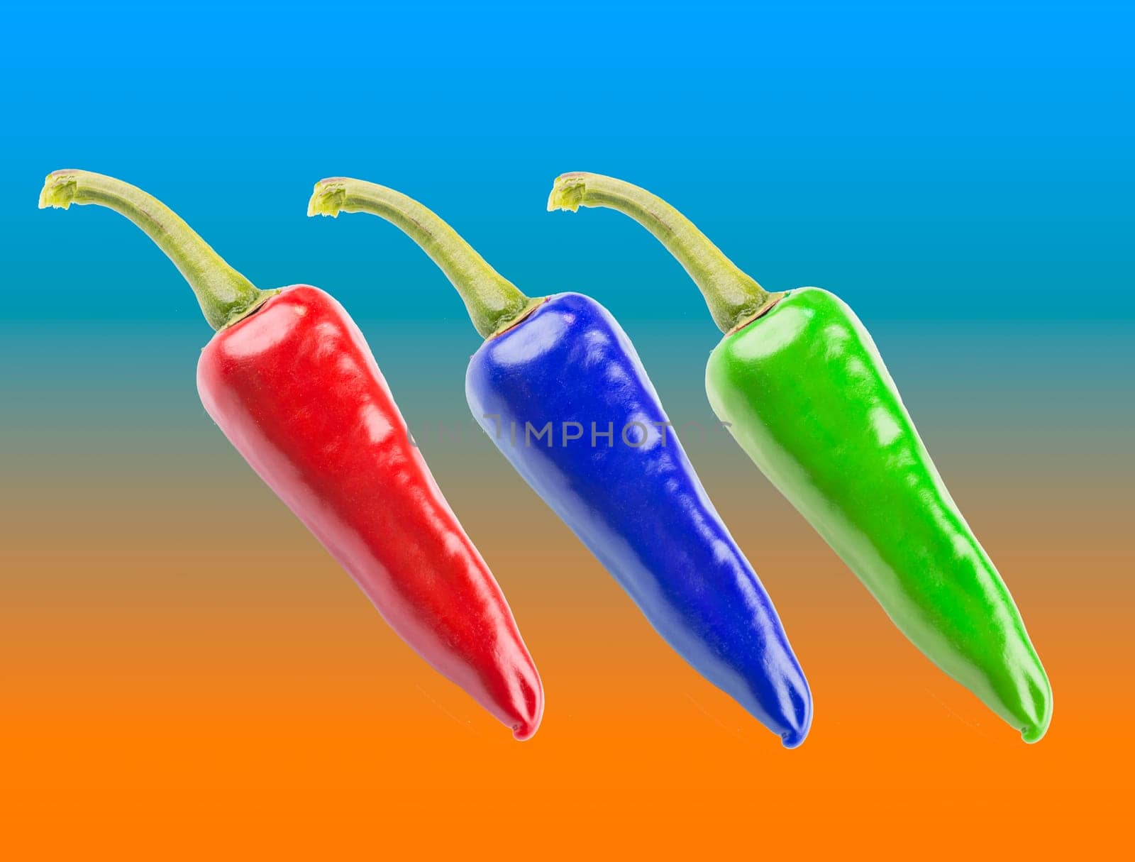chilis isolated an colored