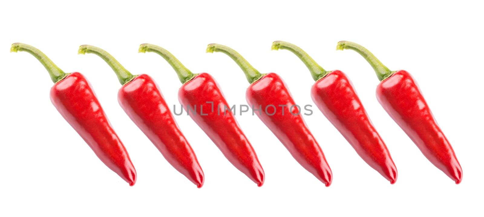 chilis isolated an colored