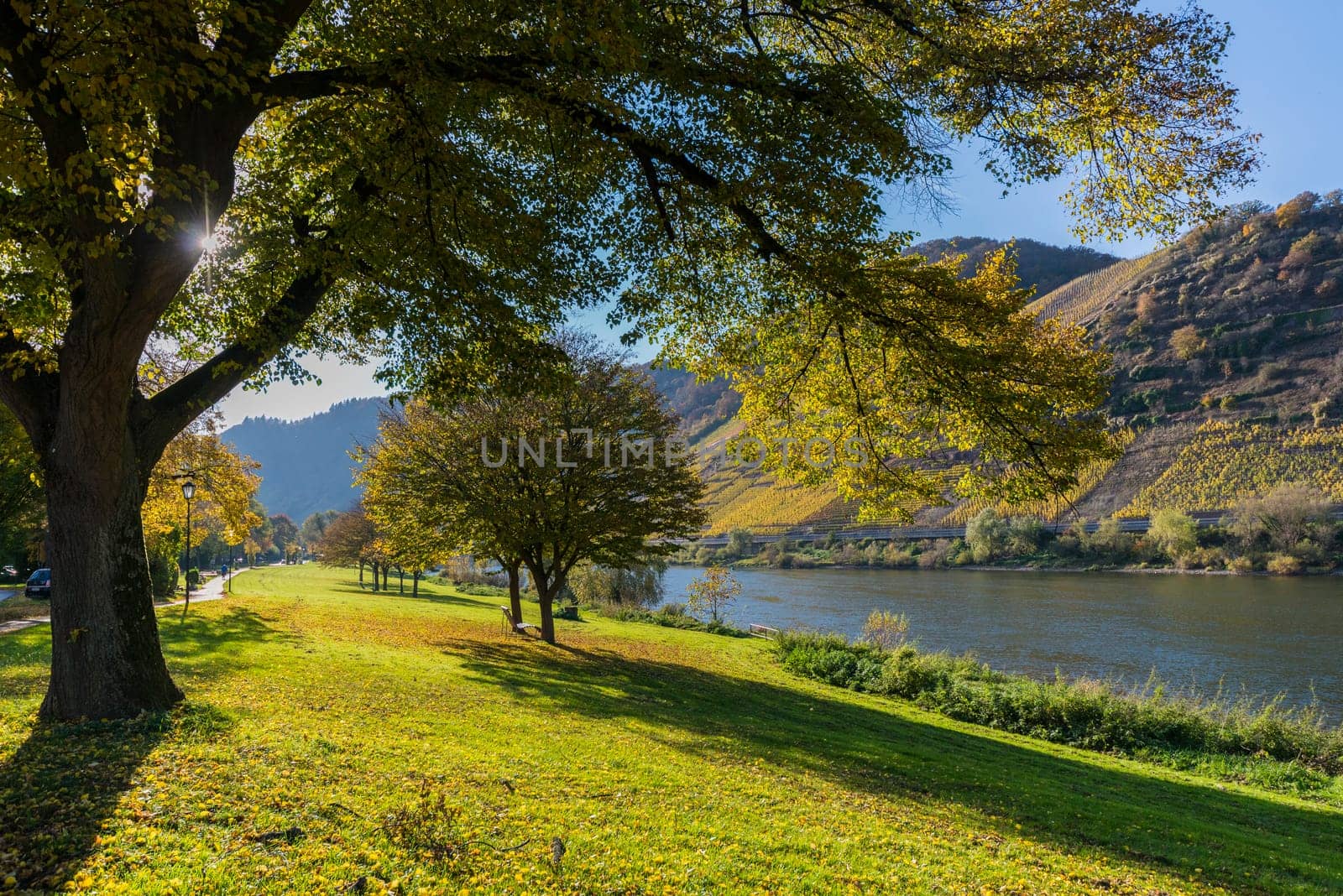 mosell river - vineyards