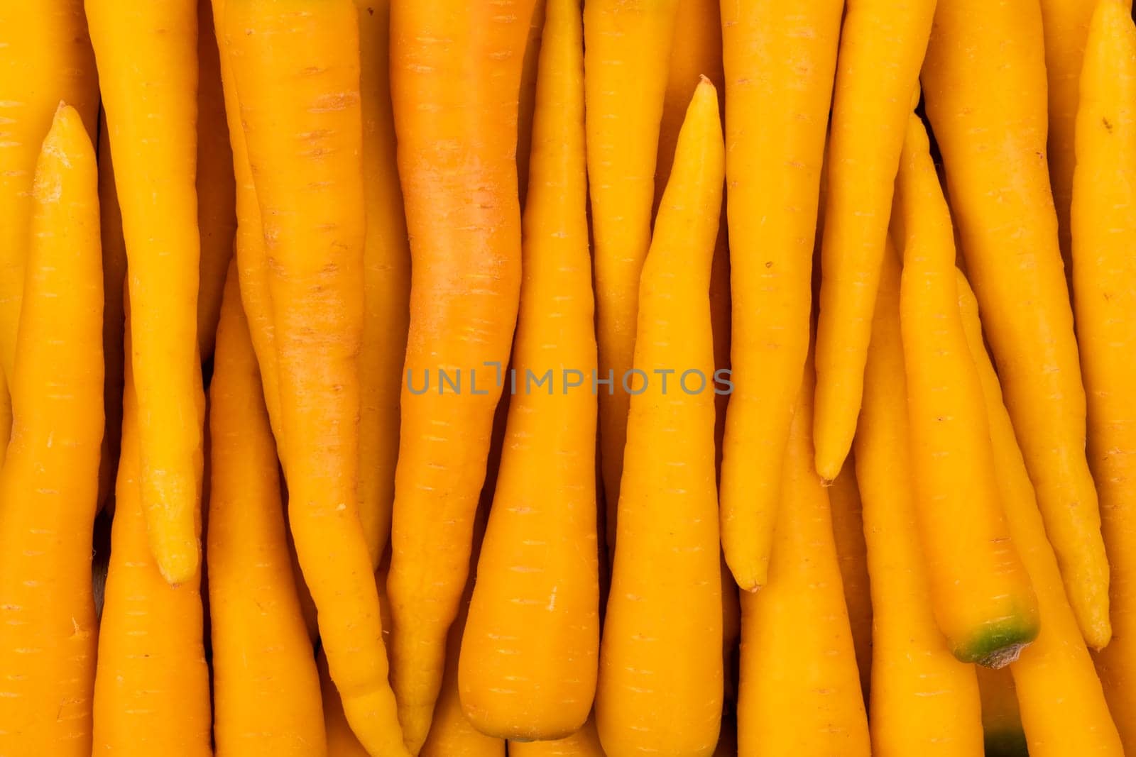 Red carrot on wooden as quantity. Top view carrot concept.