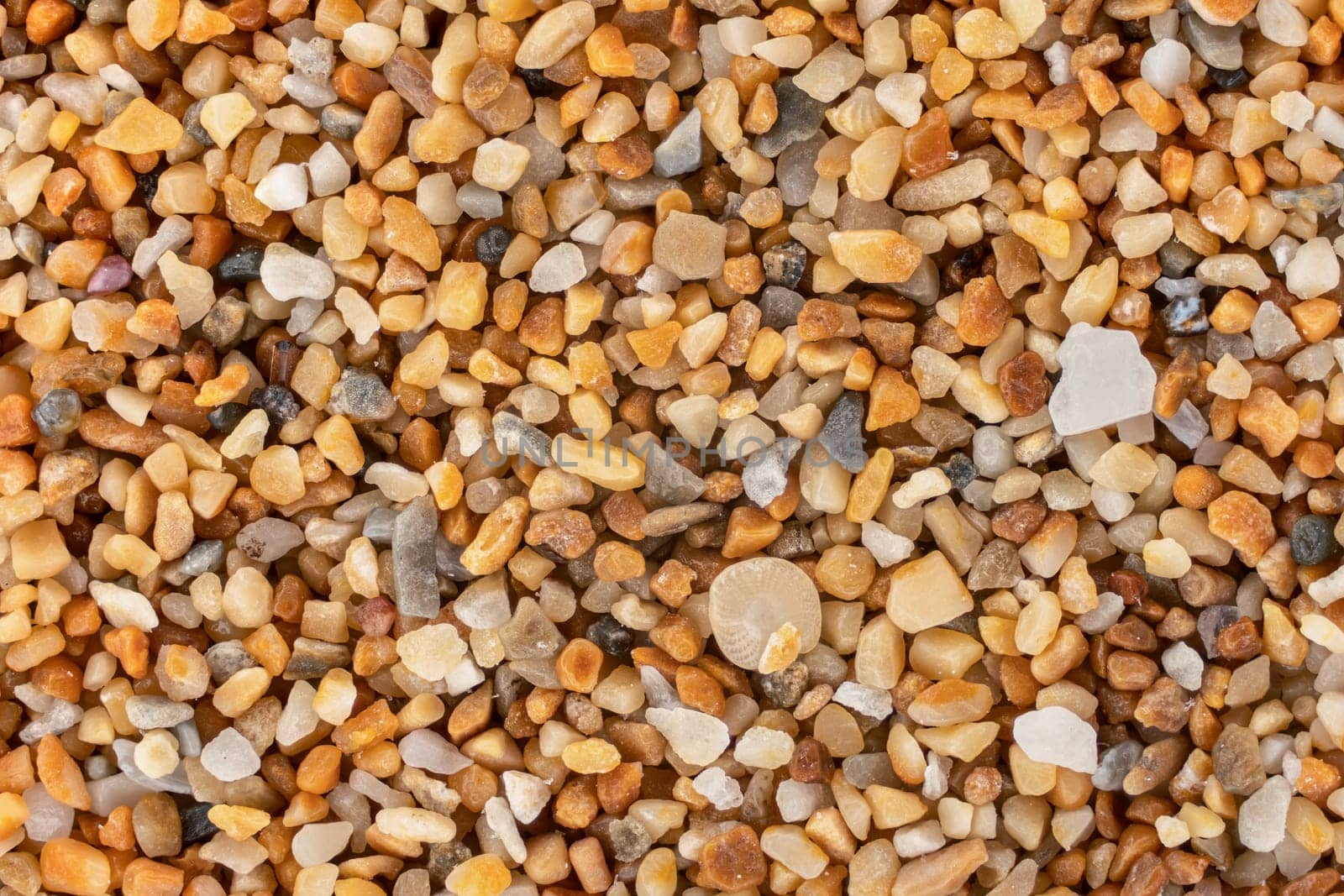 Sea sand Ghajn Tuffieha beach, Malta with reddish orange particles few ocean shell remains visible. Microscope photo, image width 9mm.