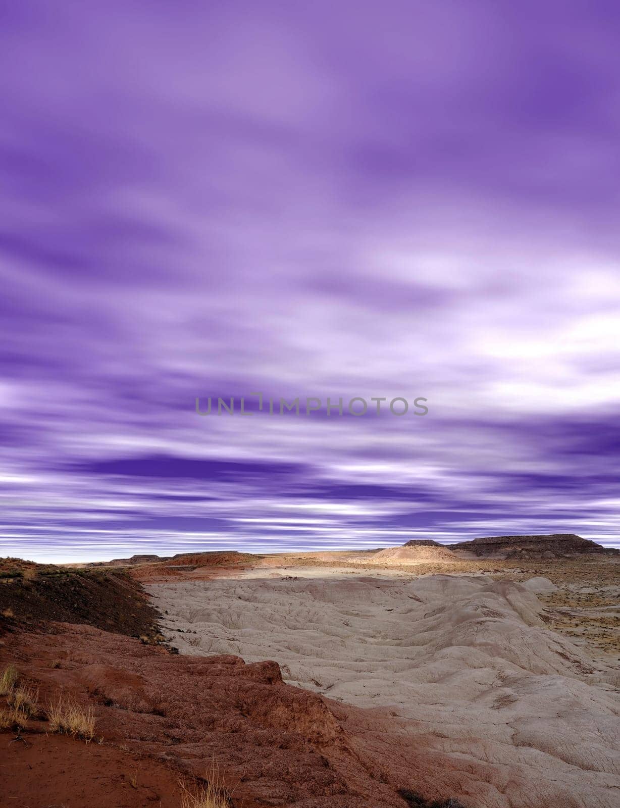 Scenic landscape of the ancient petrified forest in Arizona