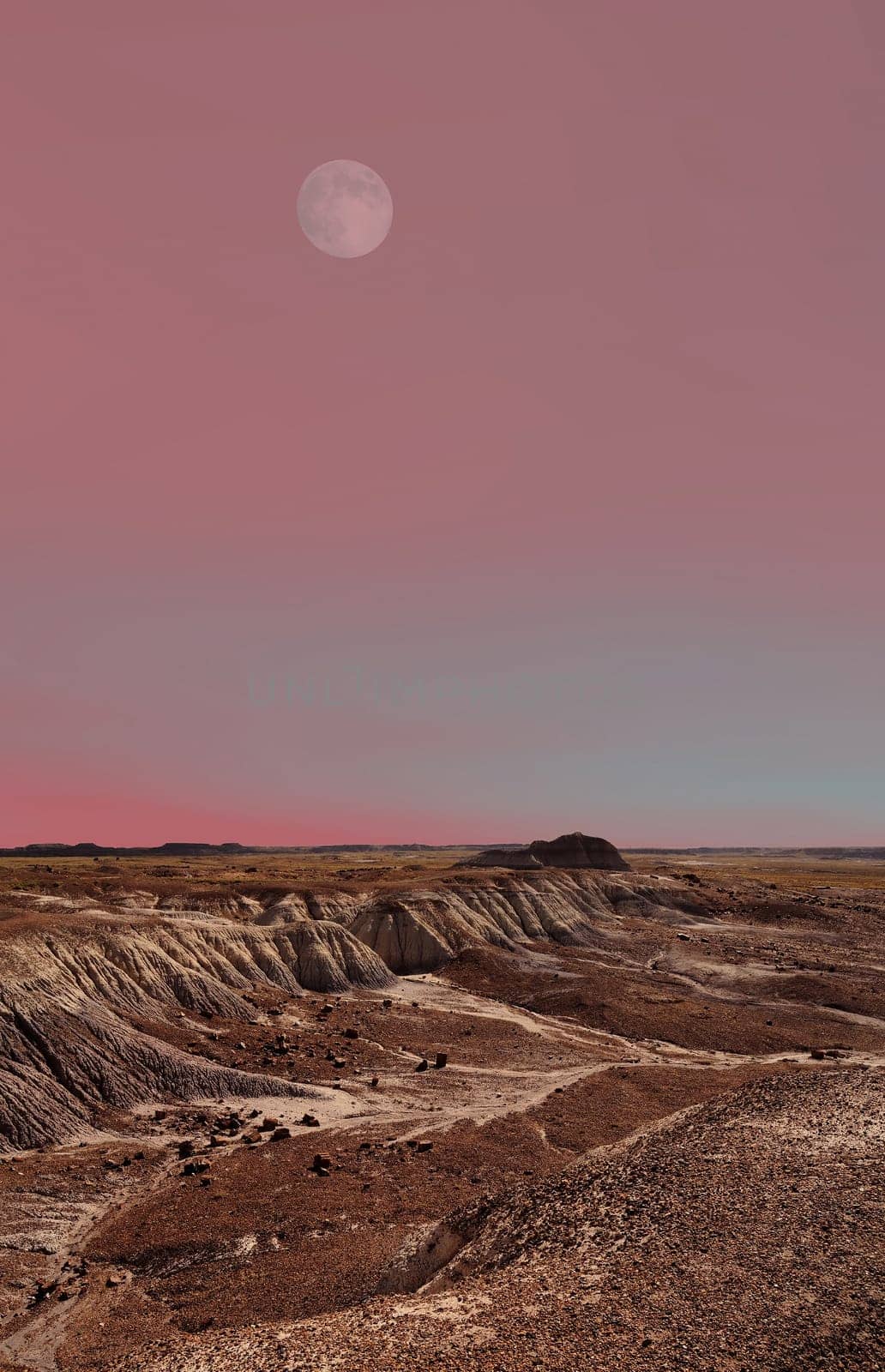 Moon rise above the ancient petrified forest in Arizona