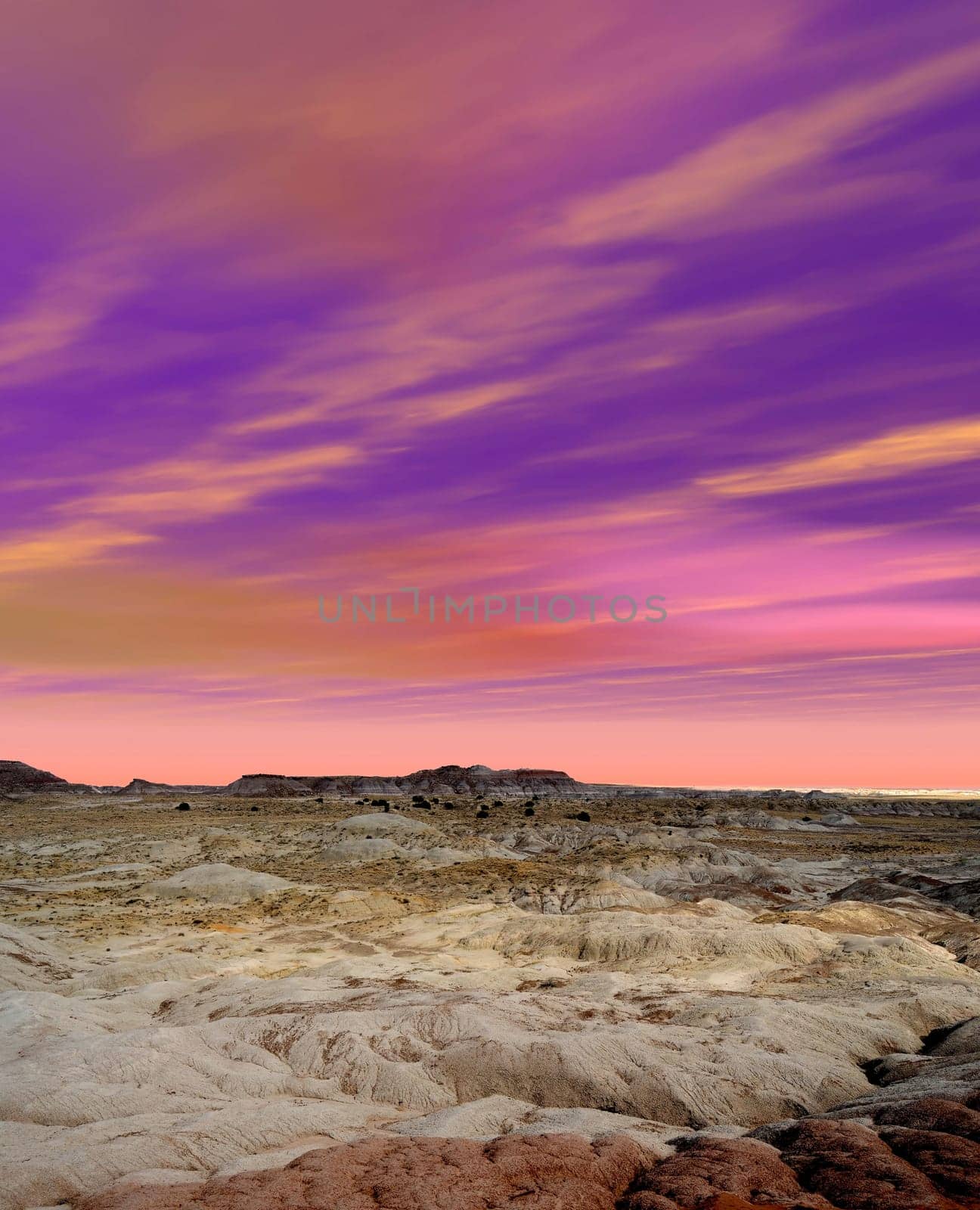 Scenic landscape of the ancient petrified forest in Arizona