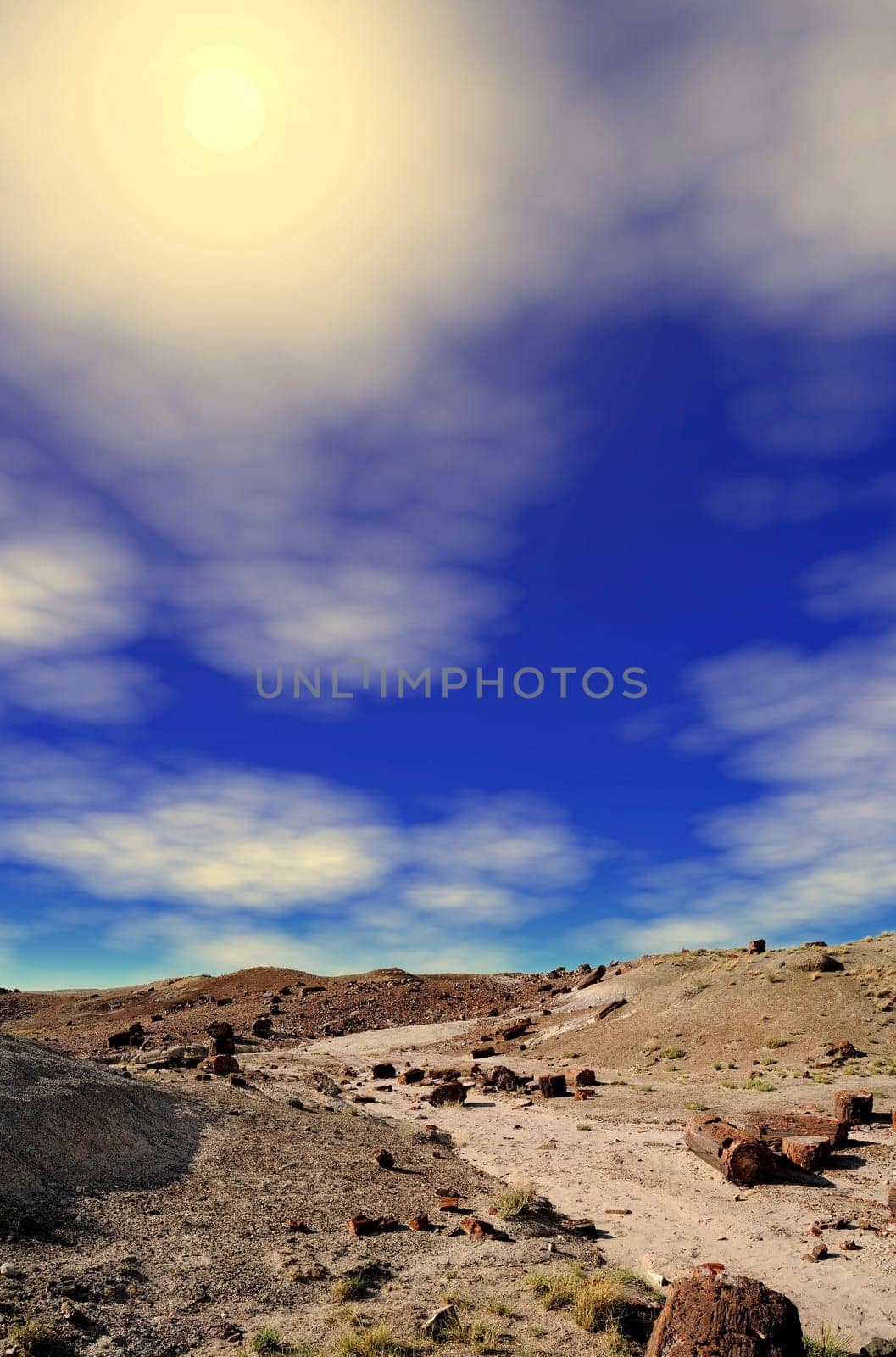 Scenic landscape of the ancient petrified forest in Arizona