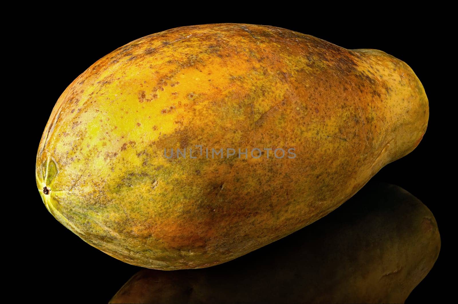 Papaya whole with reflection isolated on black background