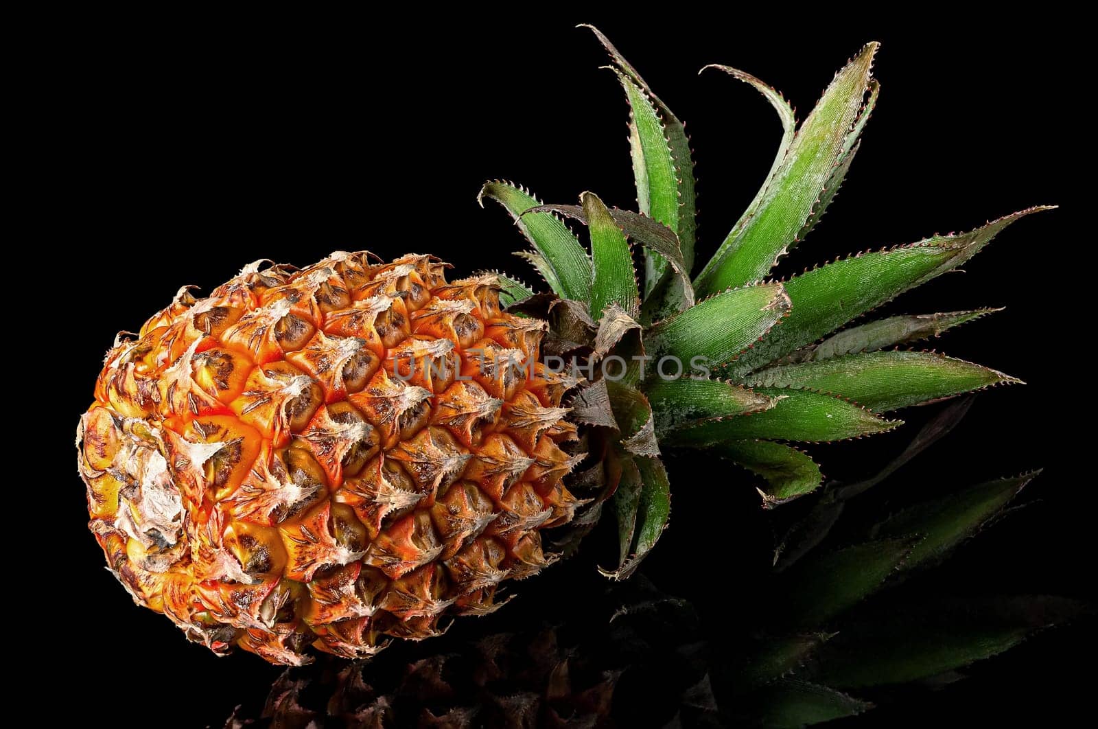 Single whole pineapple with reflection lies rotated isolated on black background