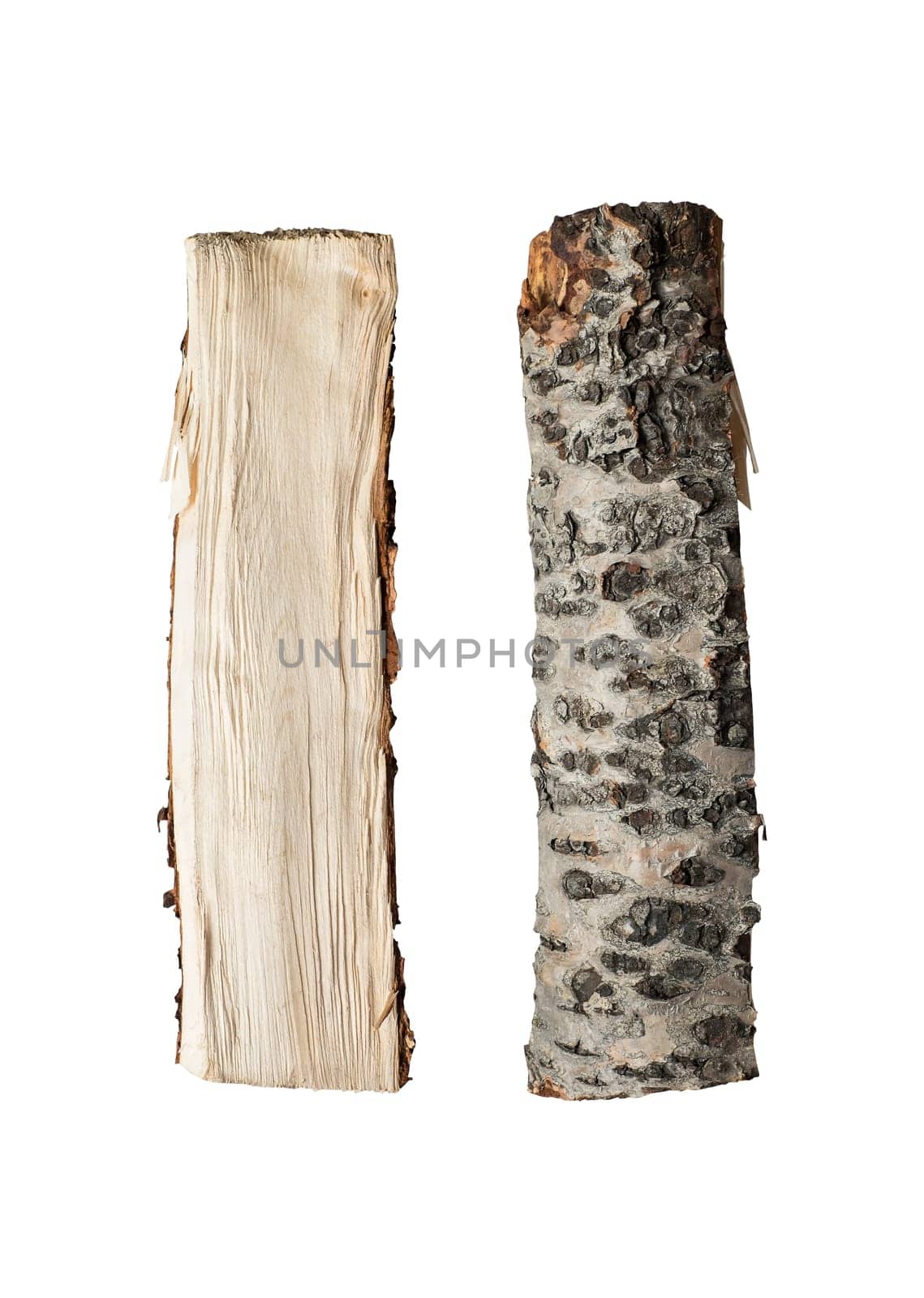 Chopped up firewood isolated in studio