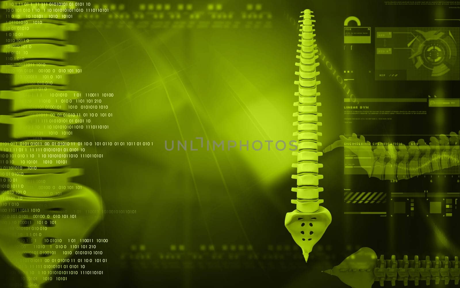 Digital illustration of back bone in colour background