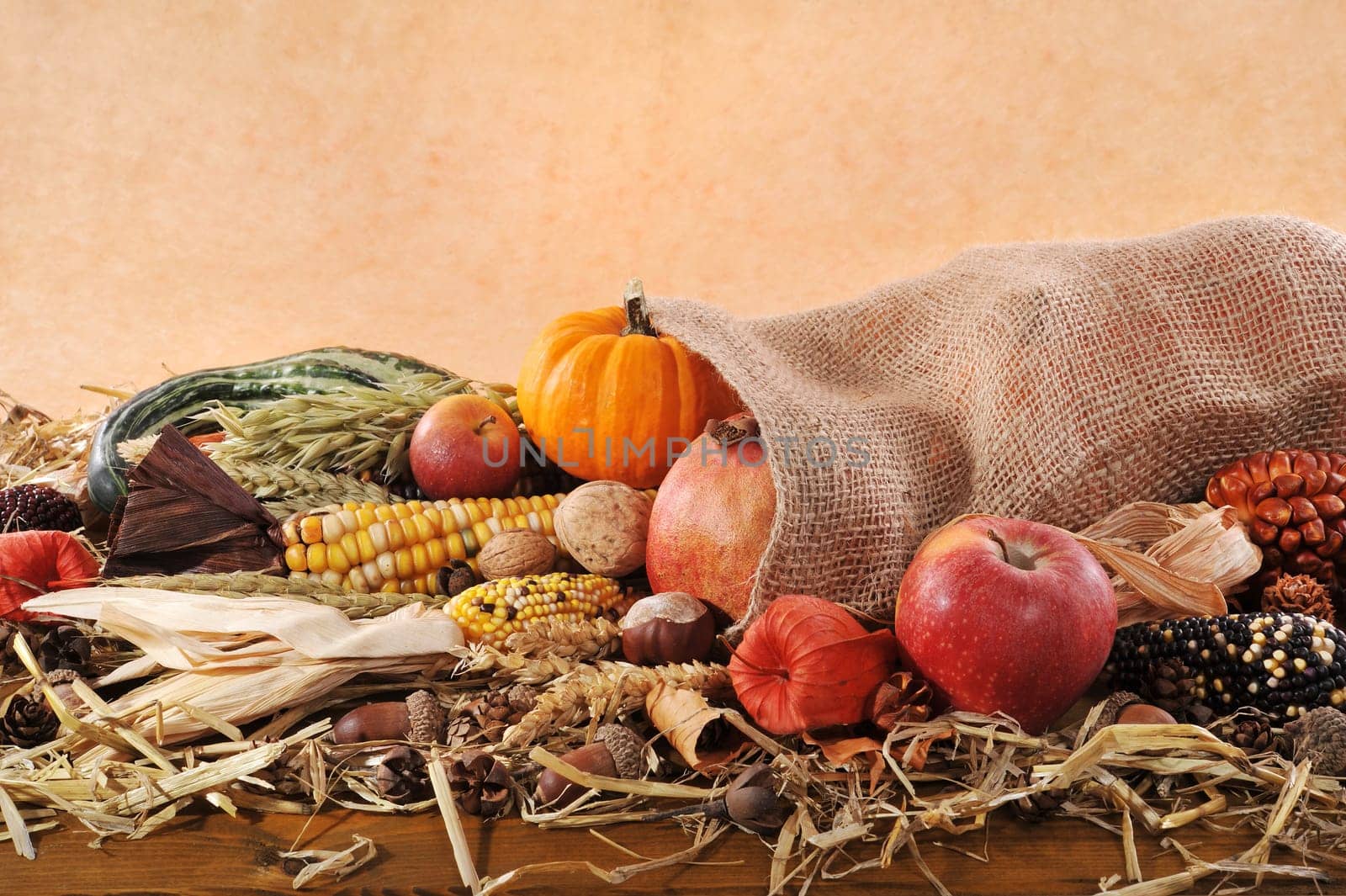 Thanksgiving – various pumpkins,corn cobs,apples and cereals in a jute bag on straw with text clearance against a brown background